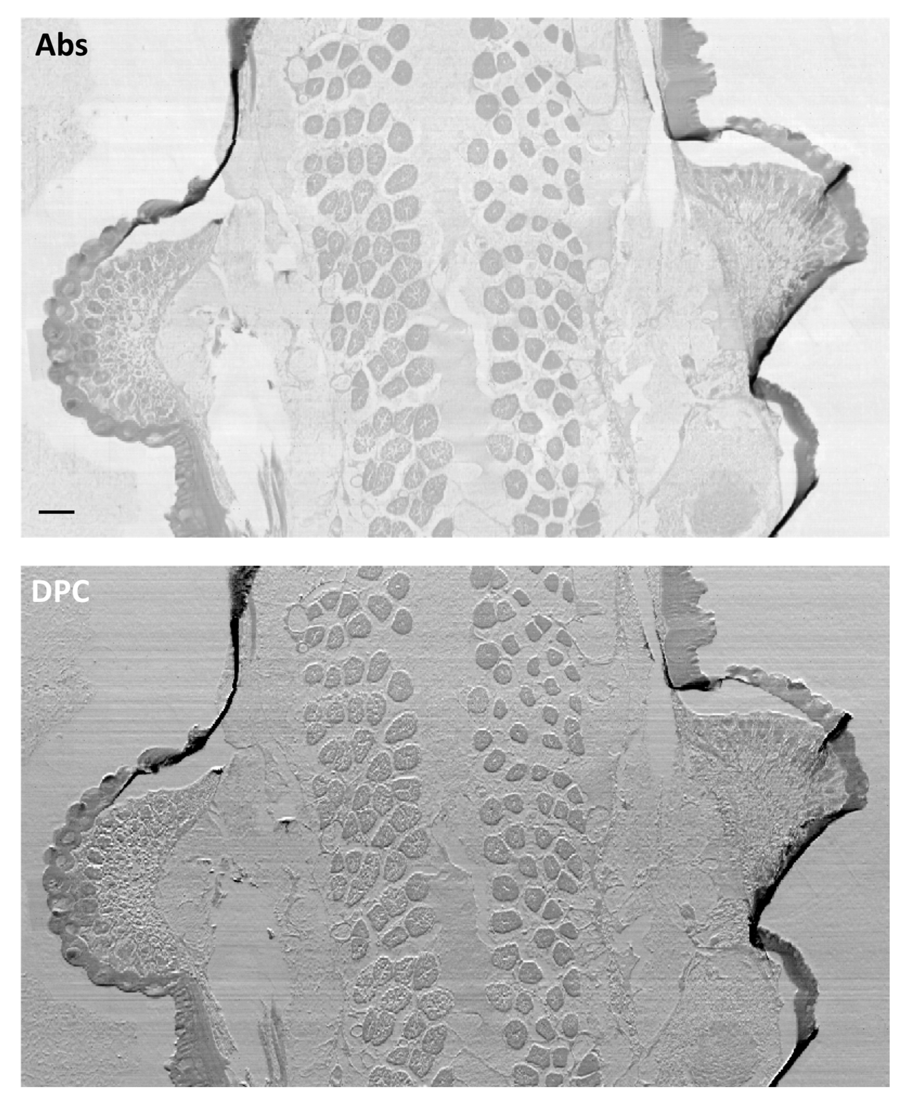 Applsci 11 07216 g009