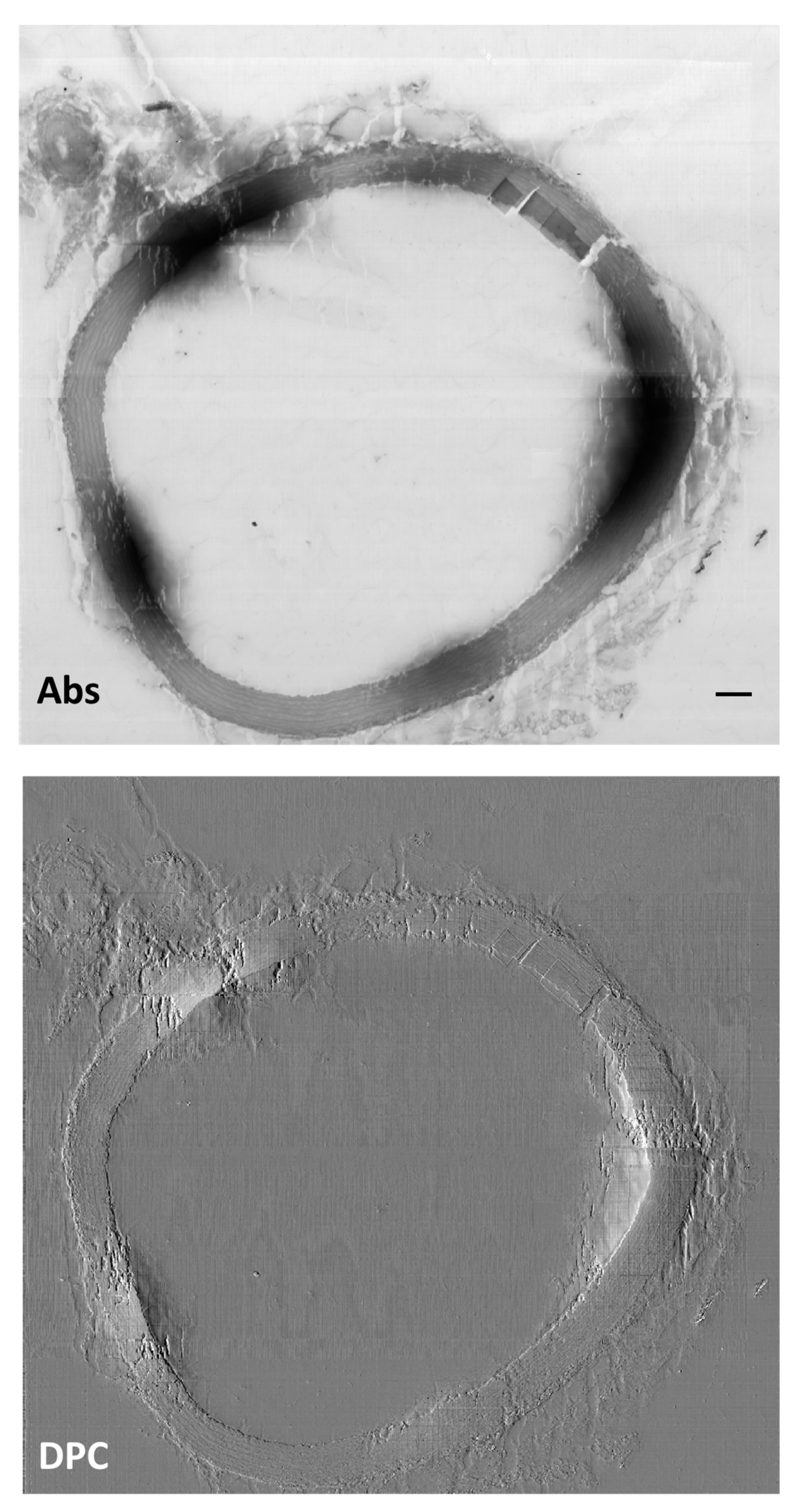 Applsci 11 07216 g011