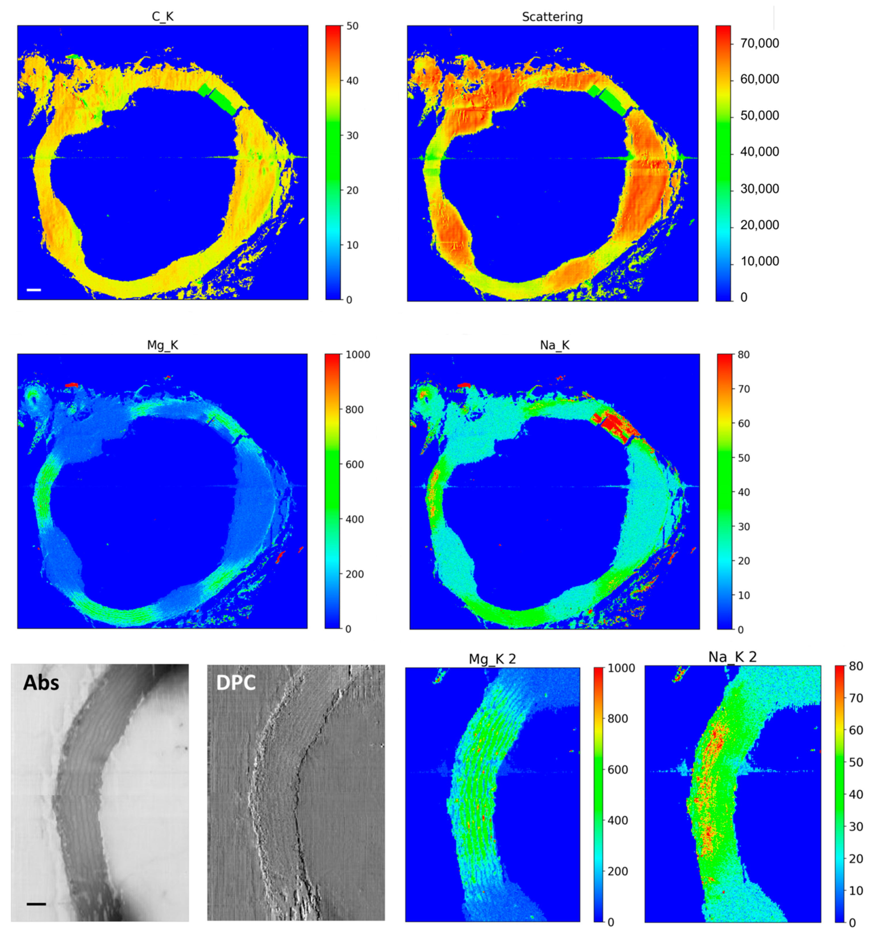 Applsci 11 07216 g012