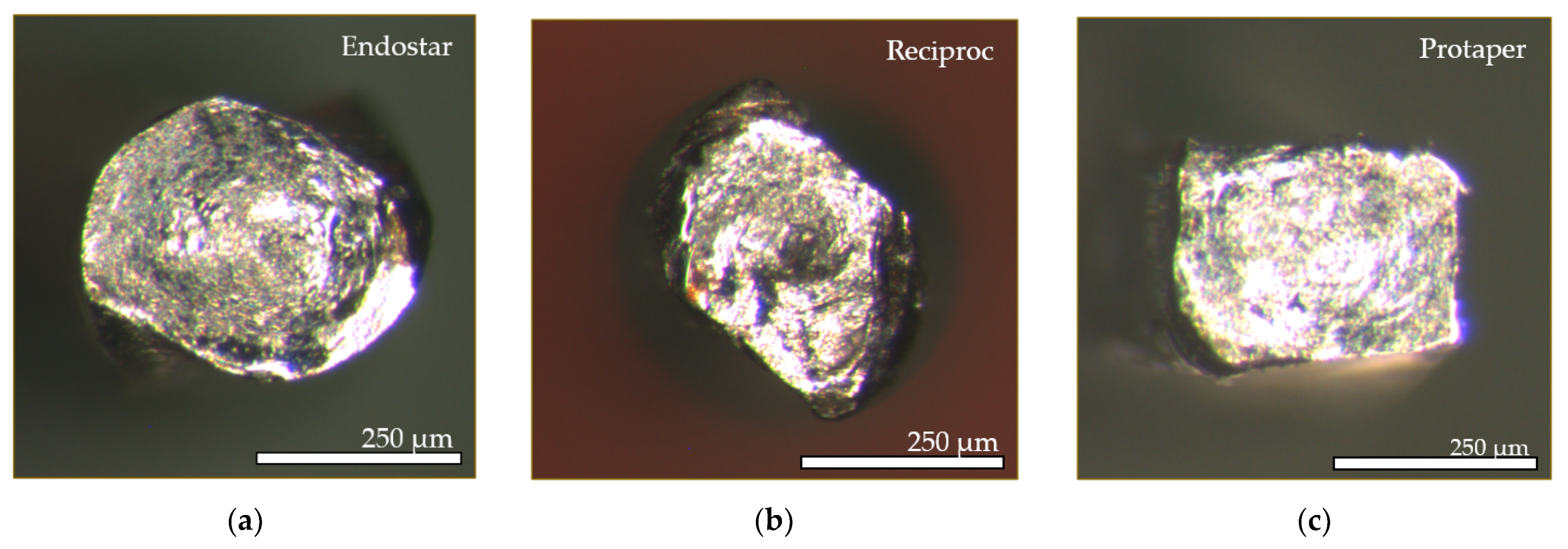 Applsci 11 07224 g007