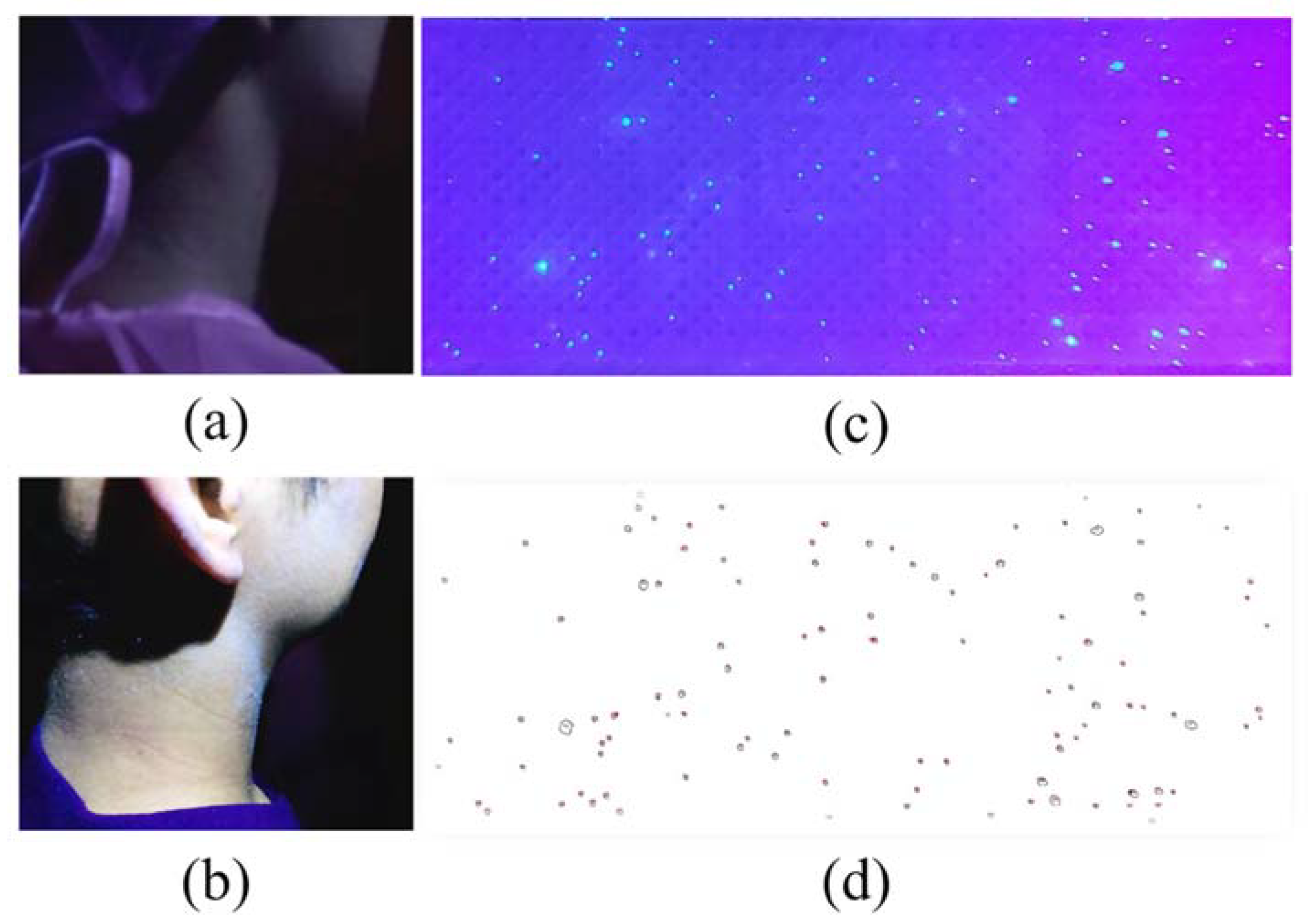 Applsci 11 07245 g004 550