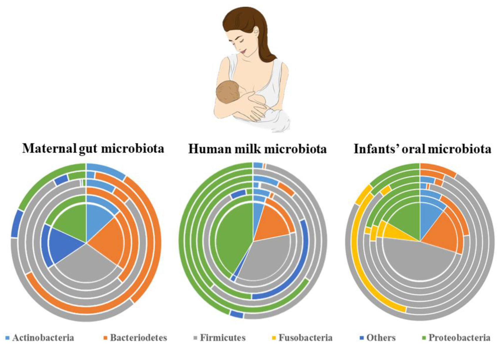 Applsci 11 07247 g001 Applsci 11 07247 g001