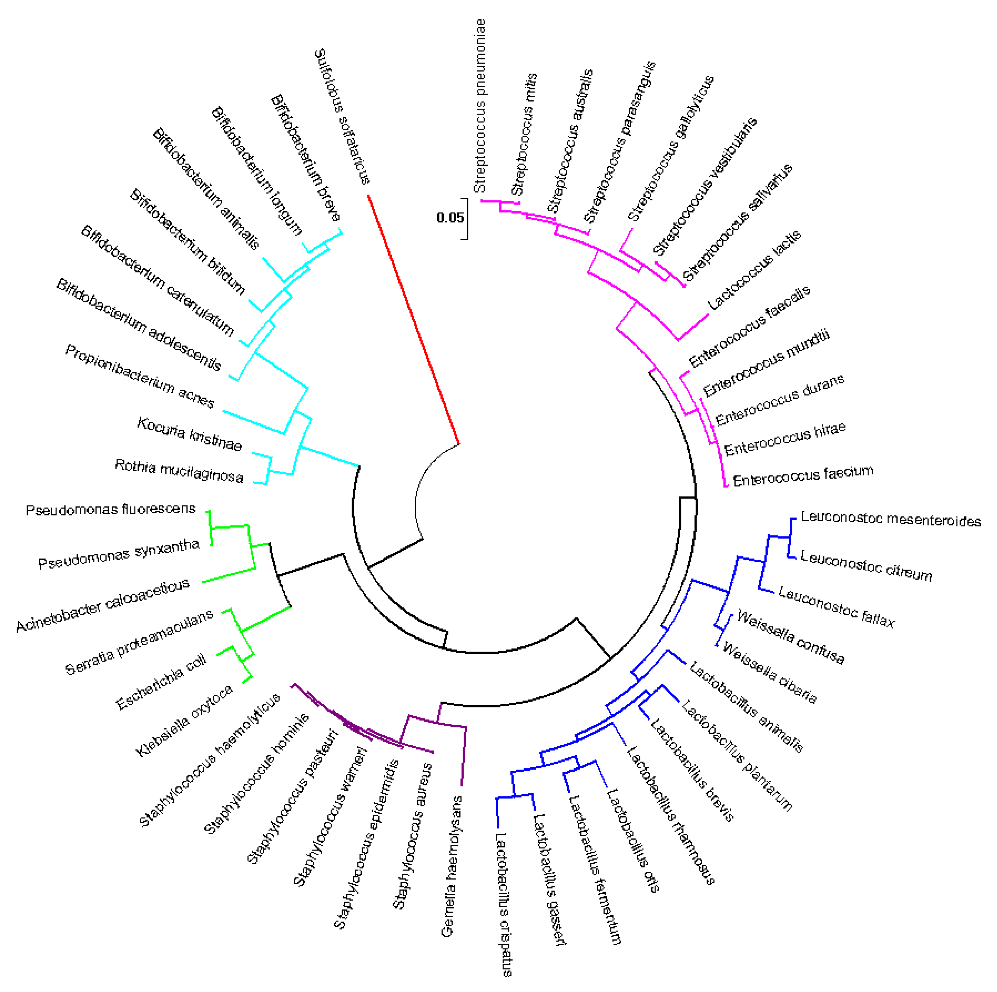 Applsci 11 07247 g002 Applsci 11 07247 g002