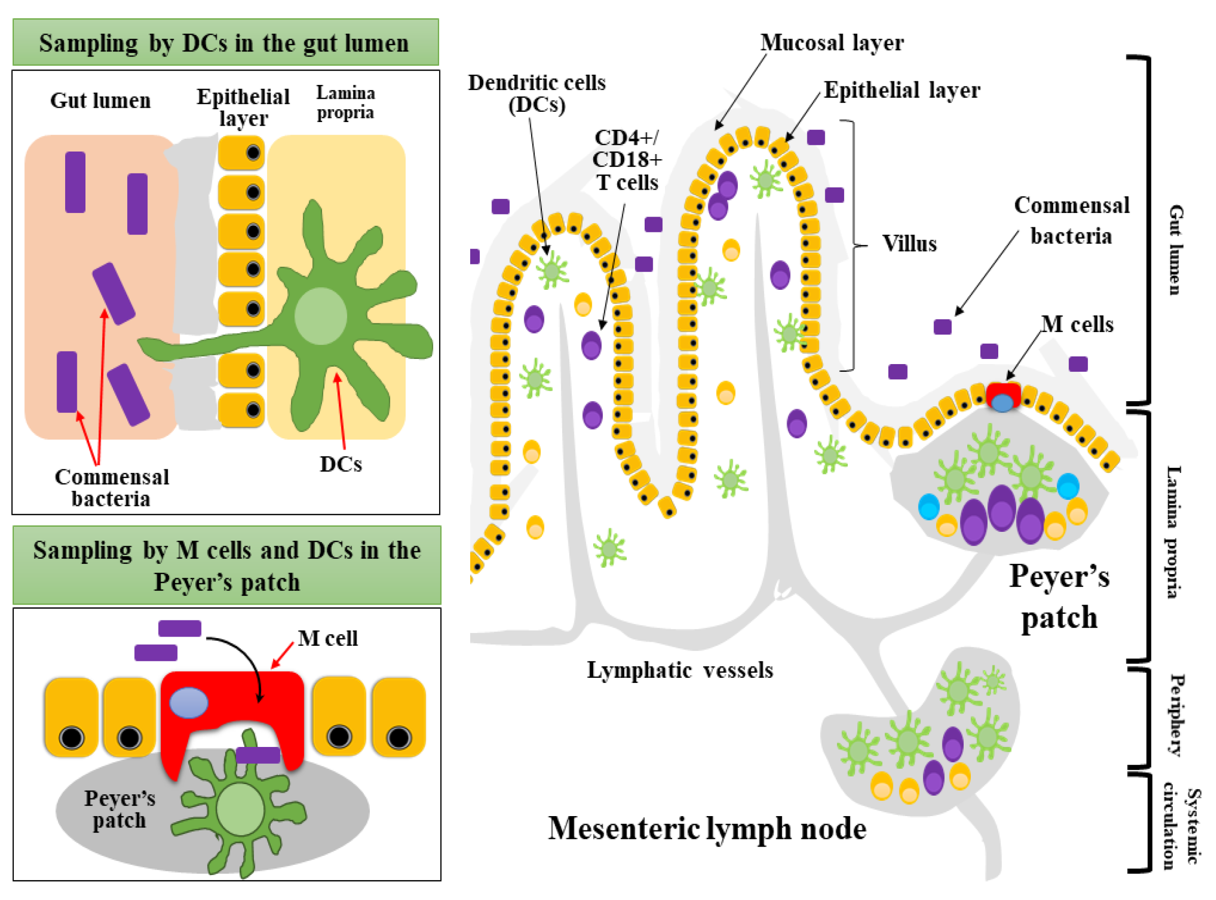 Applsci 11 07247 g003 Applsci 11 07247 g003