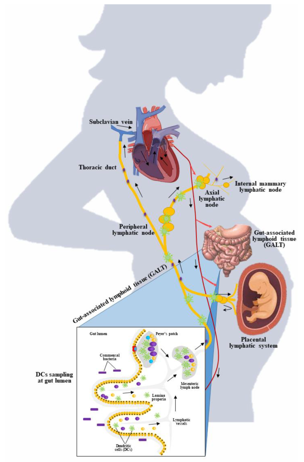 Applsci 11 07247 g004 Applsci 11 07247 g004