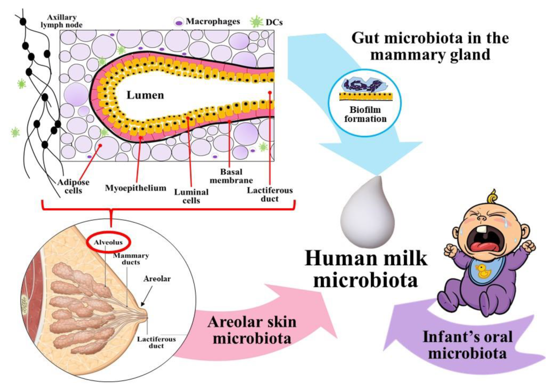 Applsci 11 07247 g005 Applsci 11 07247 g005