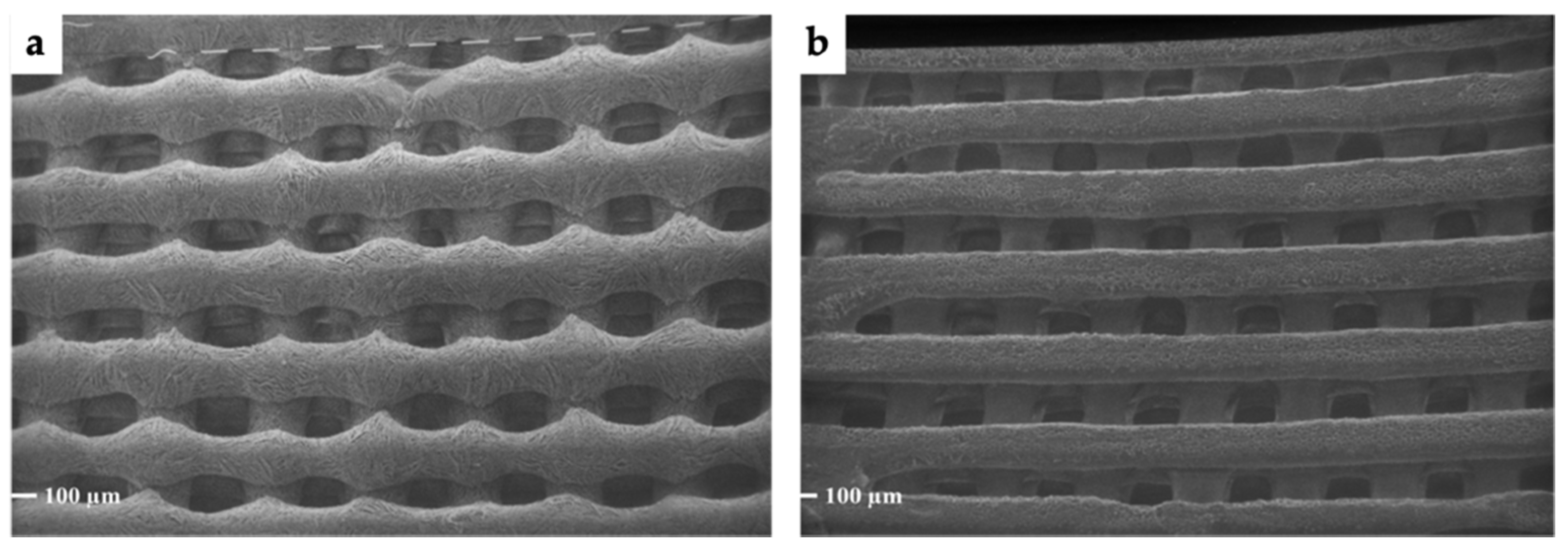 Applsci 11 07253 g005