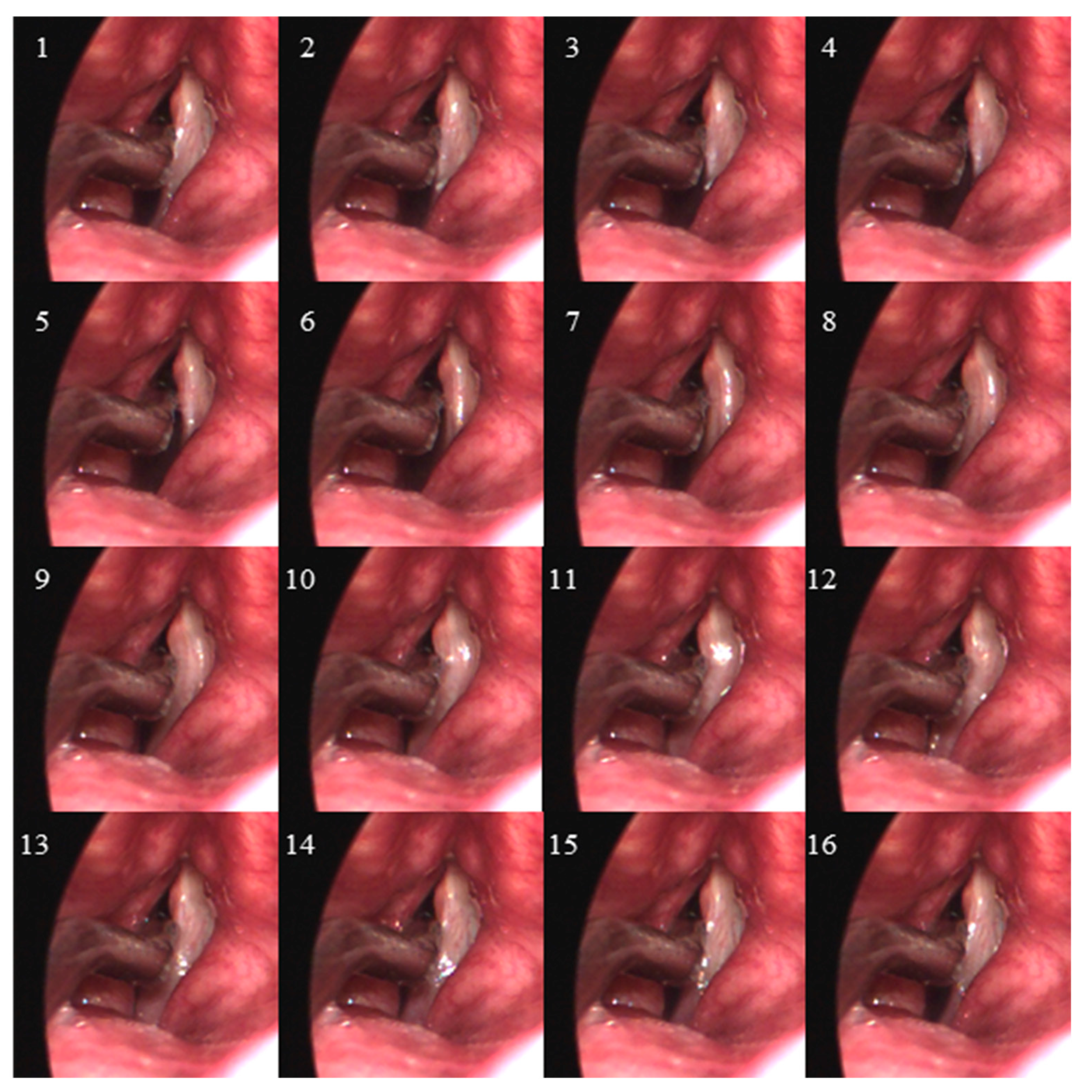 Applsci 11 07256 g003