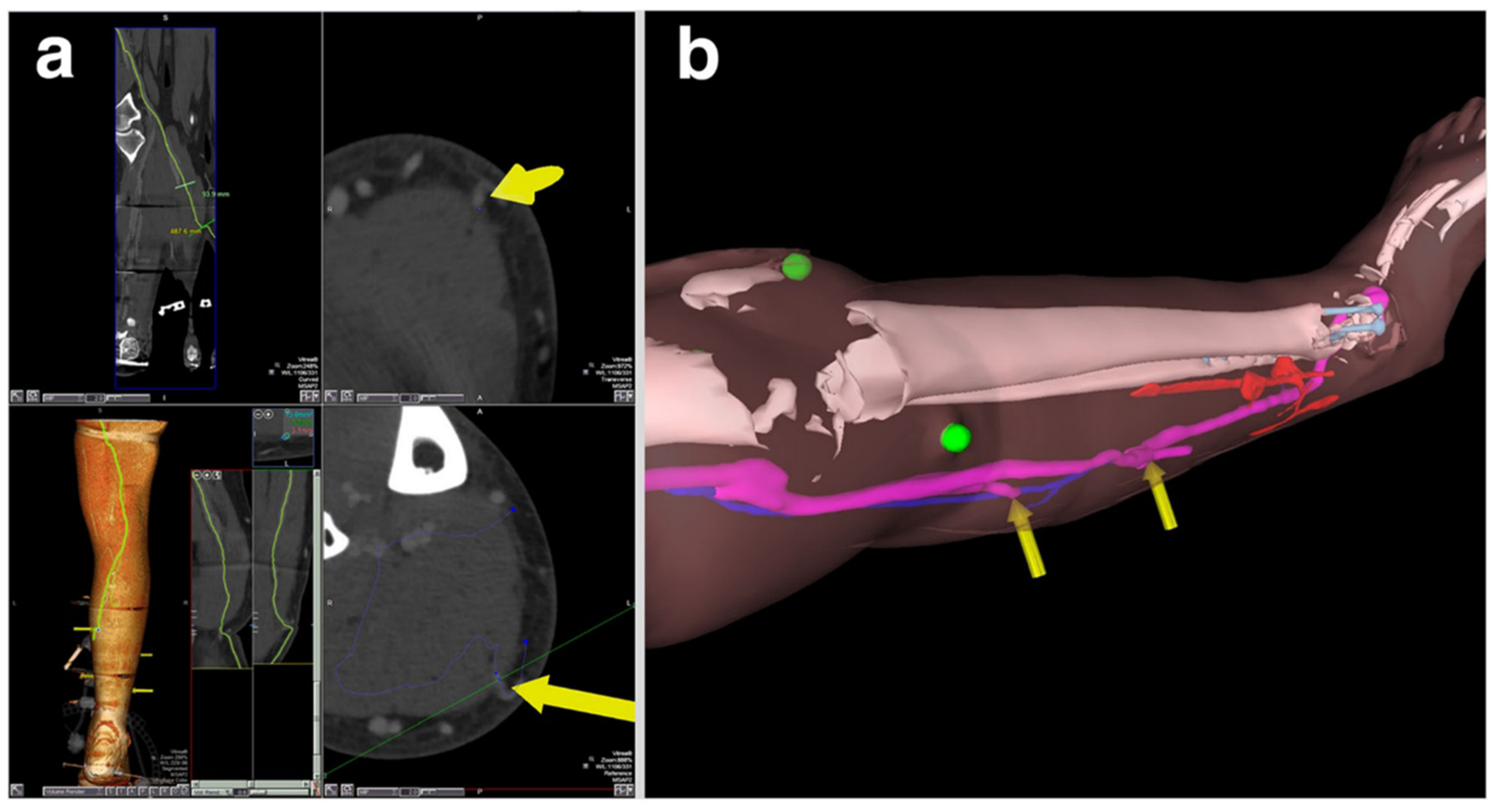 Applsci 11 07259 g003 550