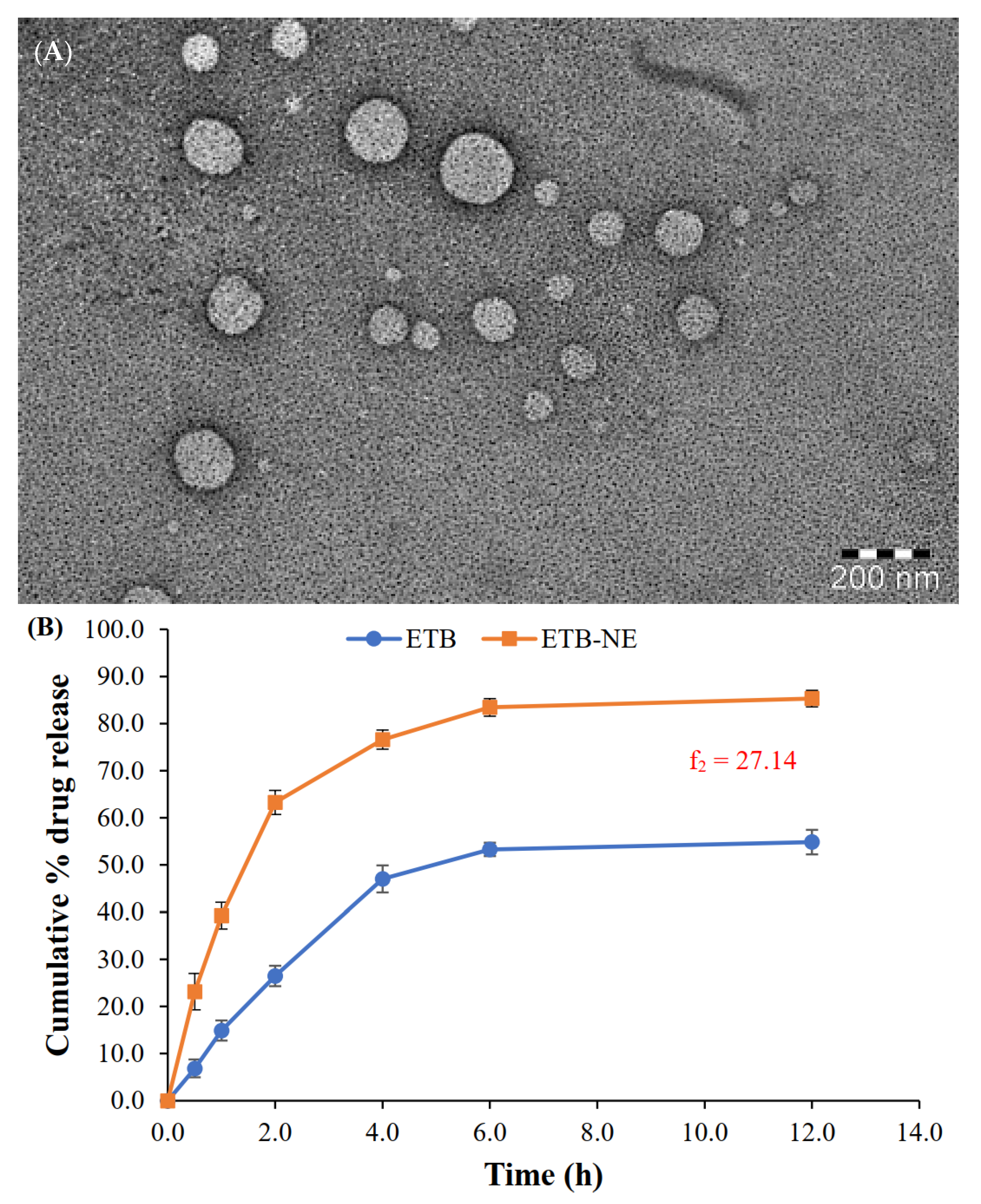 Applsci 11 07294 g004 550