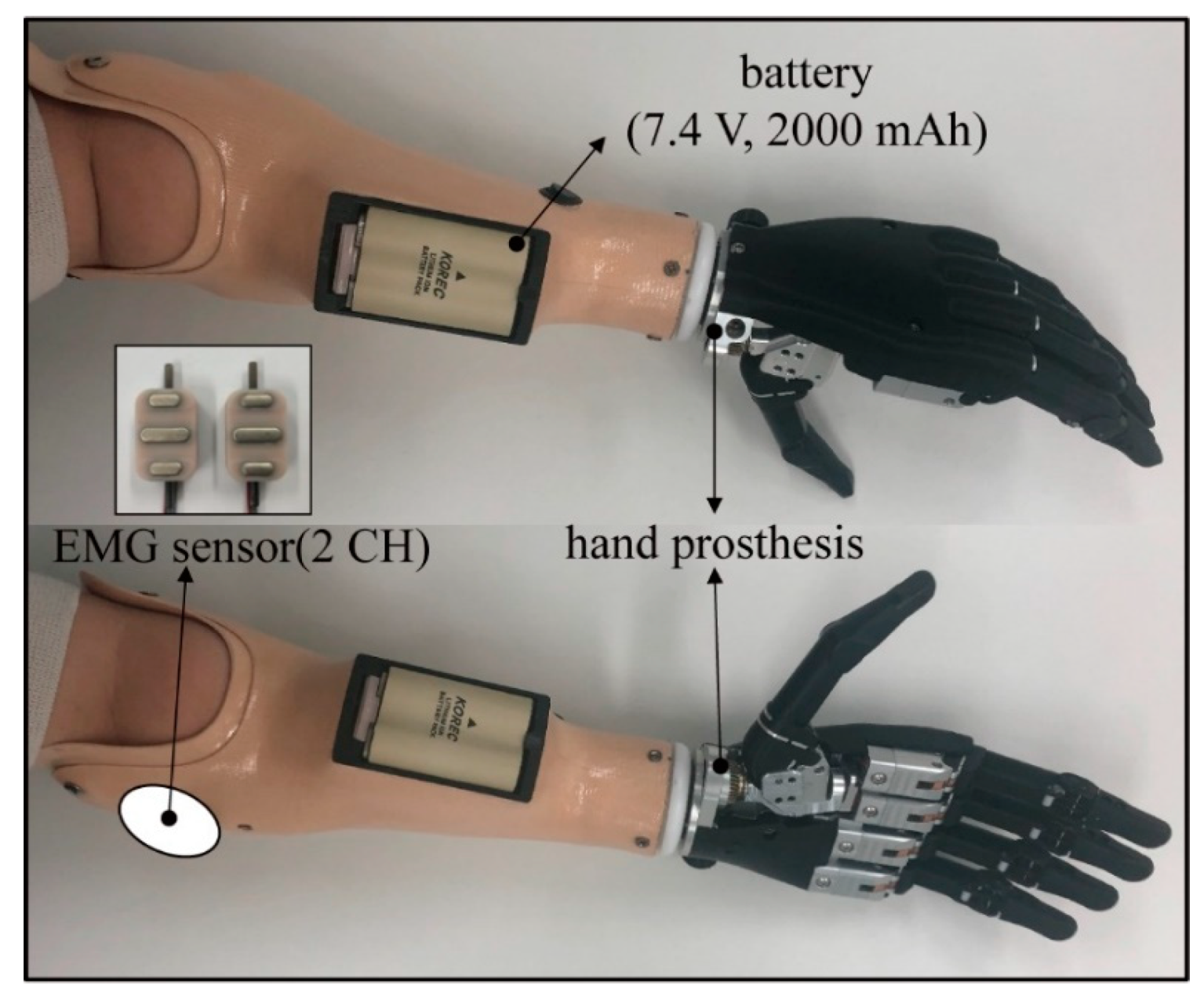 Applsci 11 07295 g007 Applsci 11 07295 g007