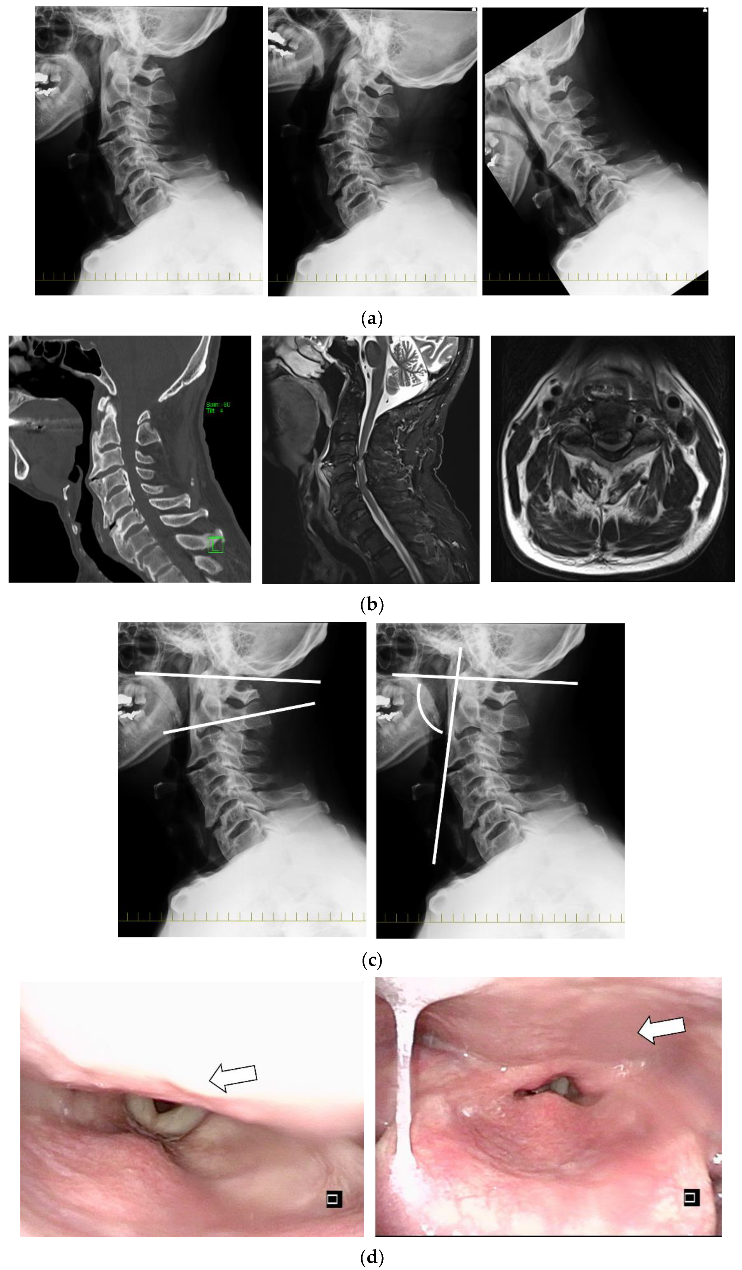 Applsci 11 07300 g002