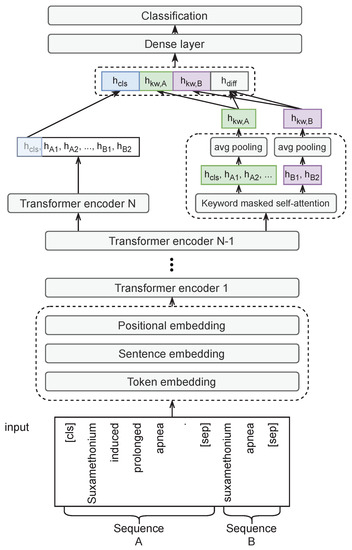 Keybert Full-Abstract Biomedical Relation Extraction with Keyword-Attentive ...