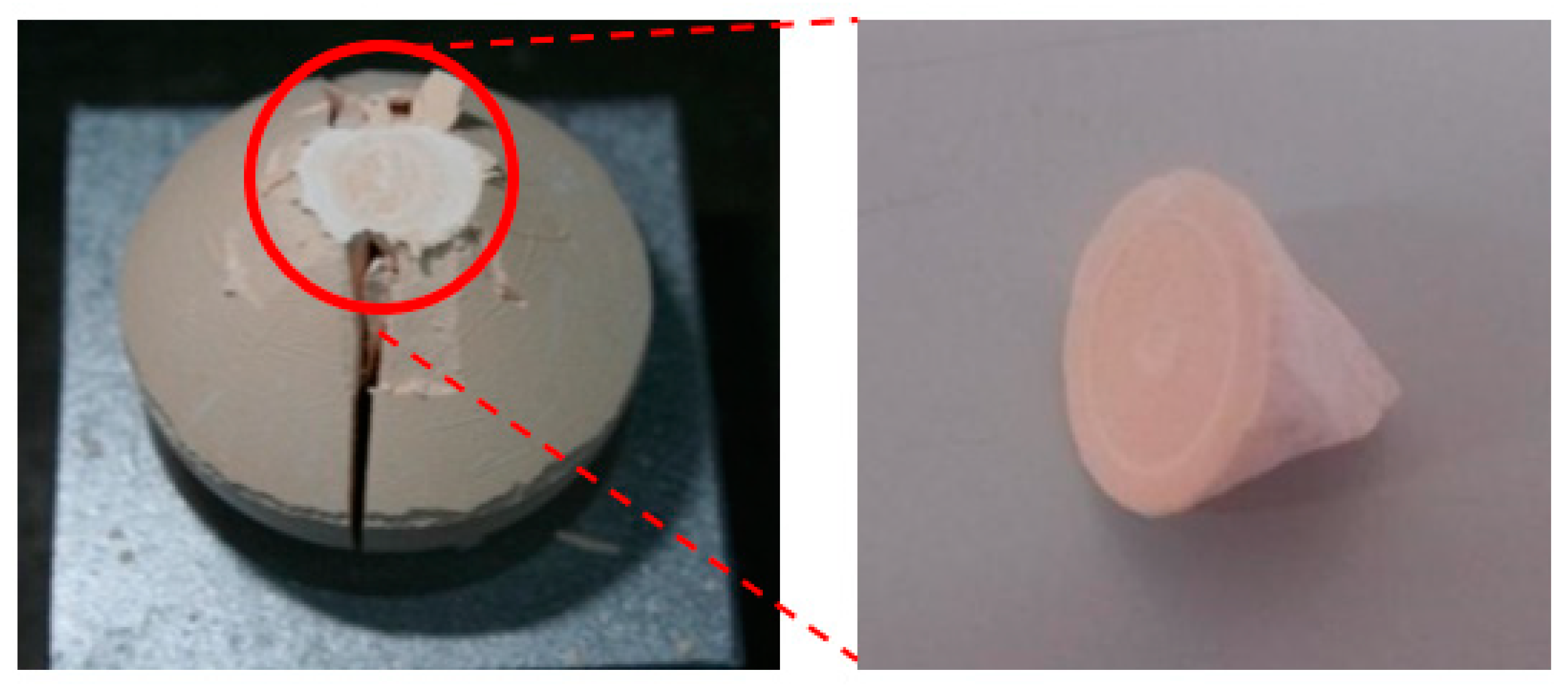 Applsci 11 07319 g007