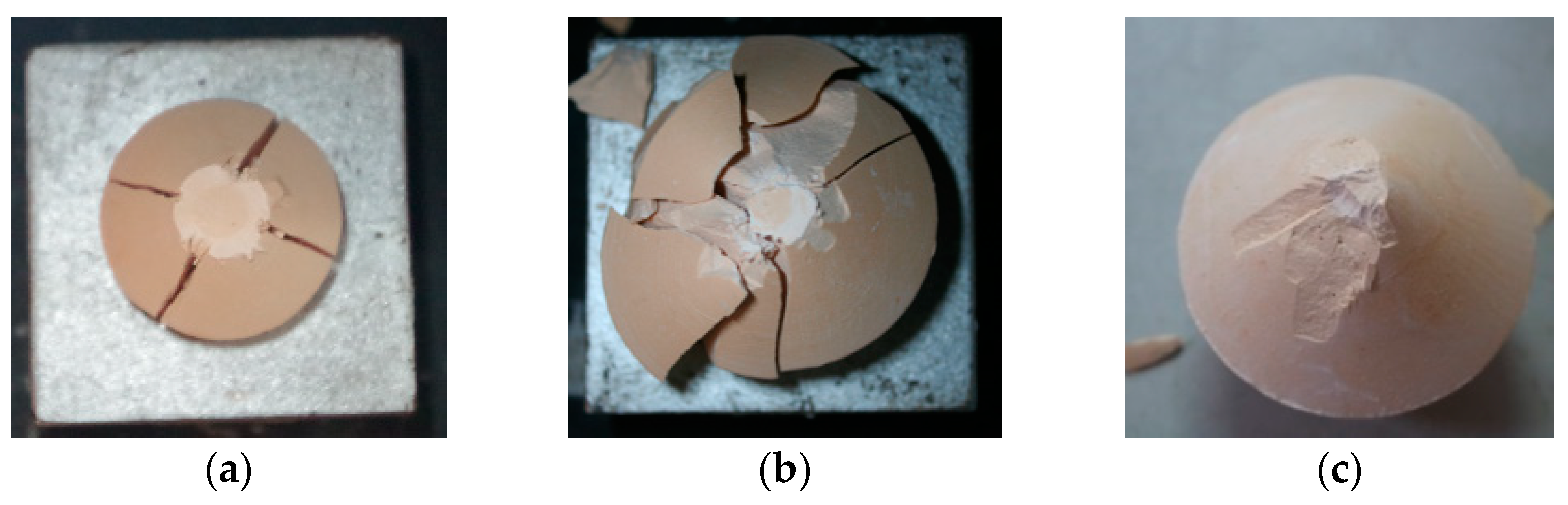 Applsci 11 07319 g010