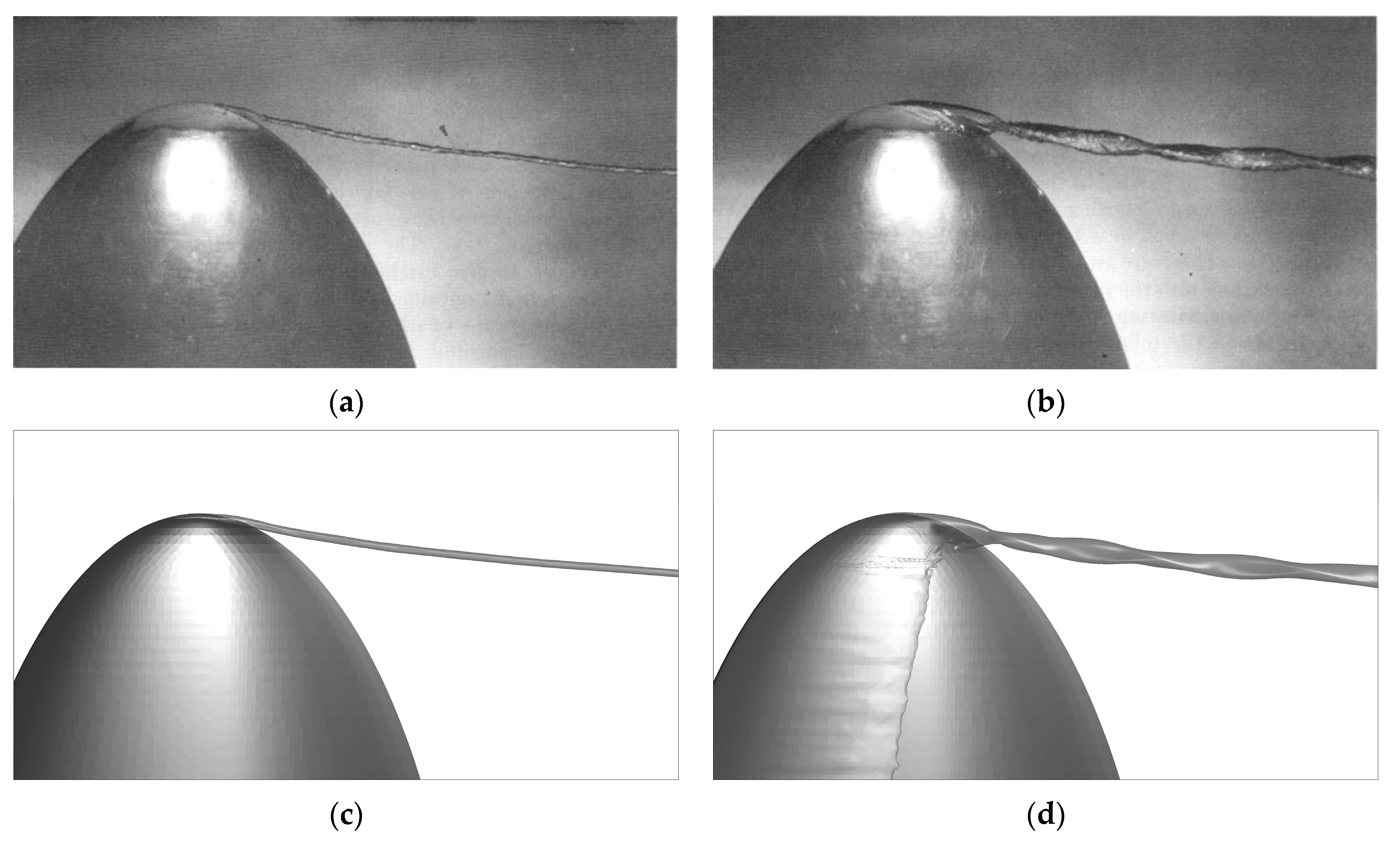 Applsci 11 07332 g012