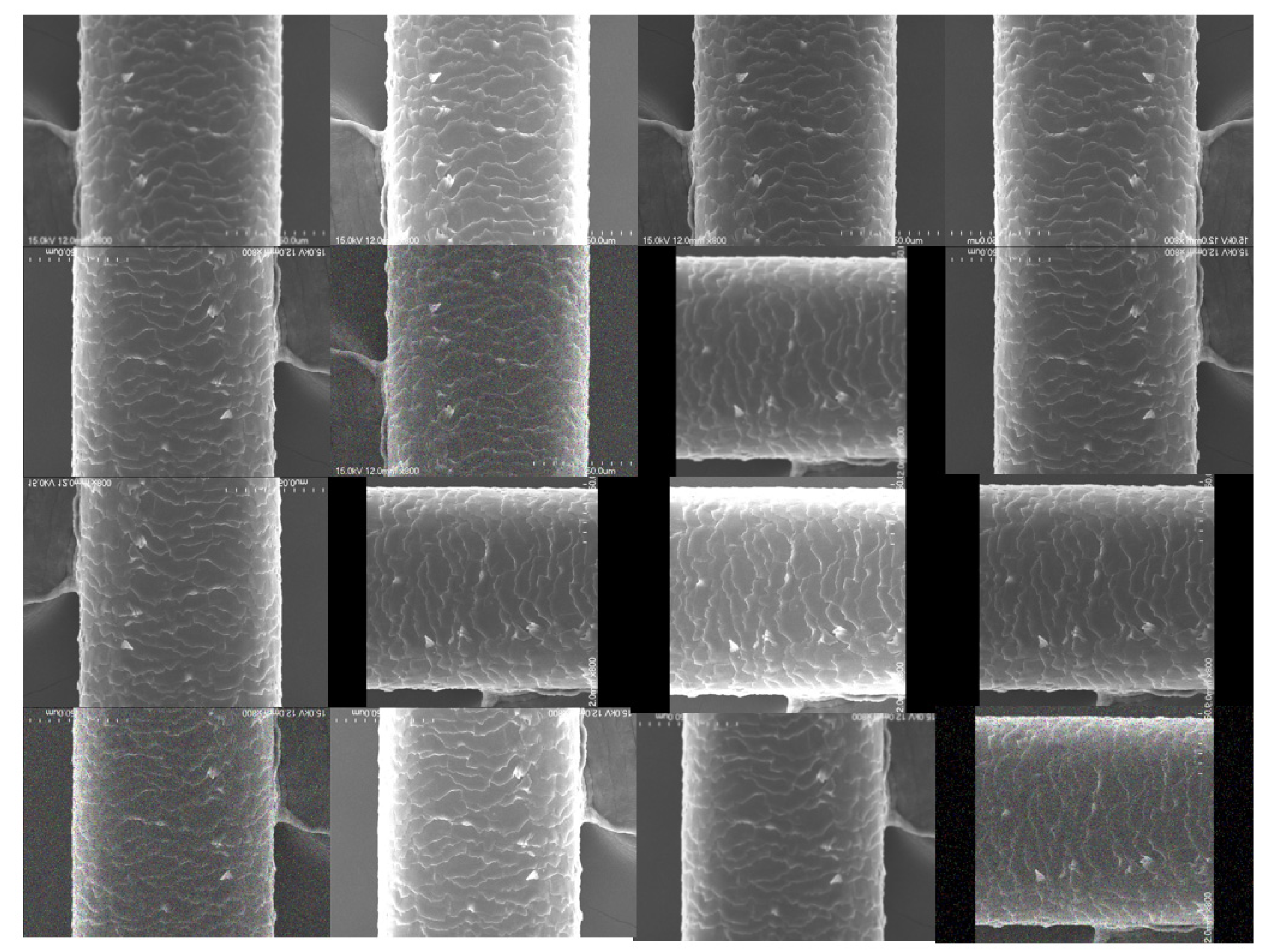 Applsci 11 07333 g008 550