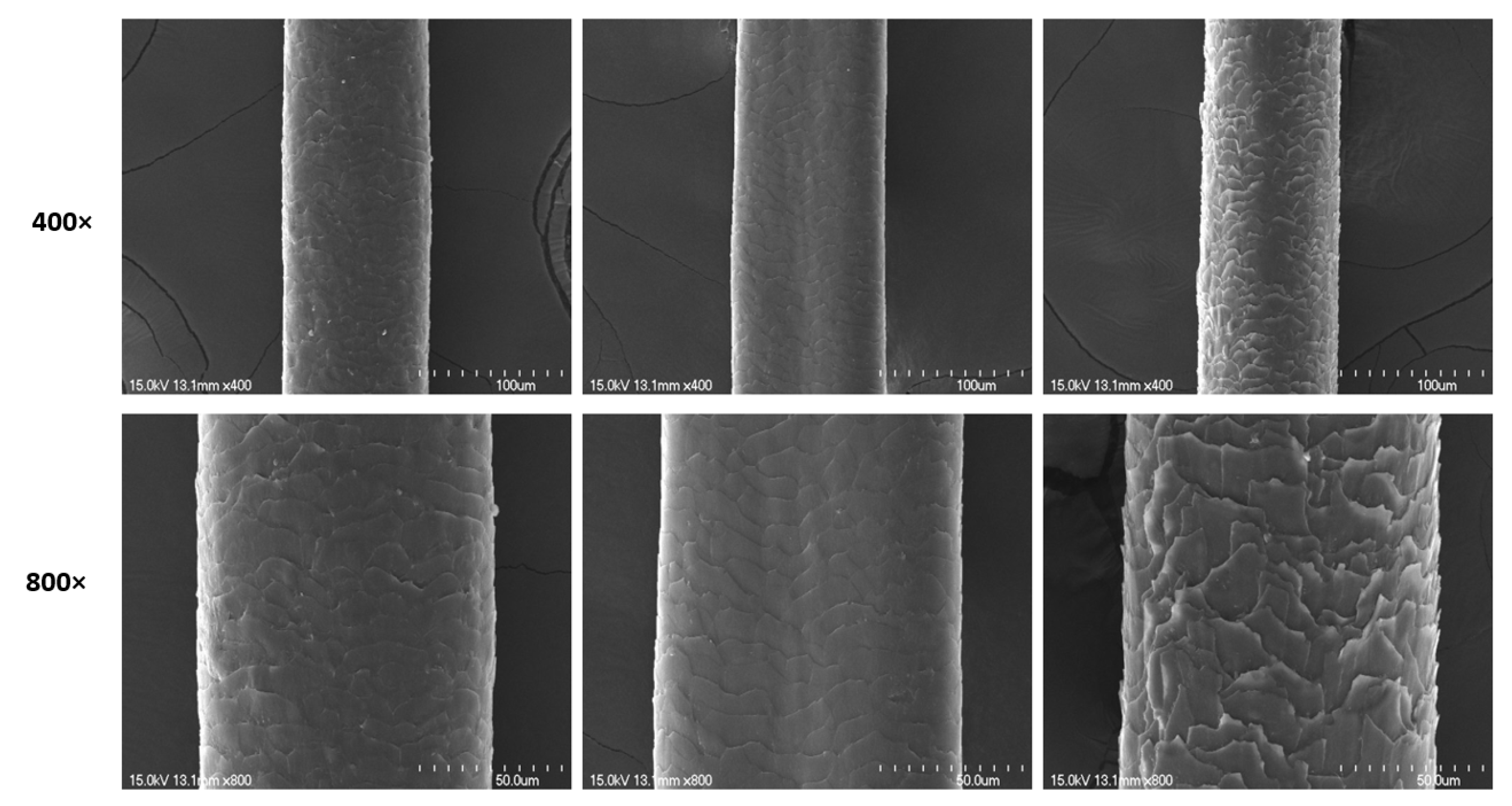 Applsci 11 07333 g010 550