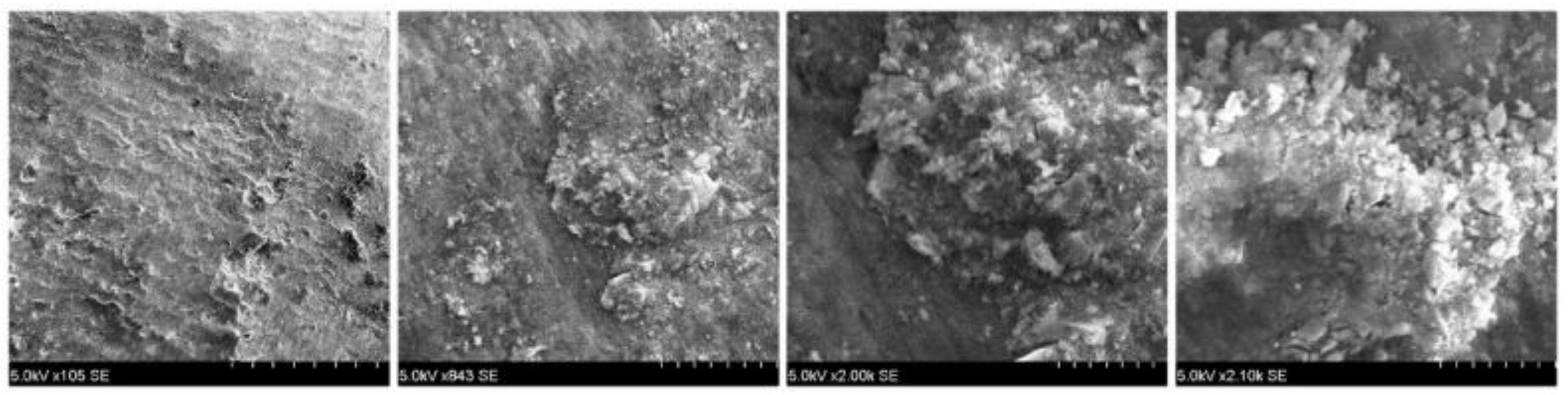 Applsci 11 07353 g004 550