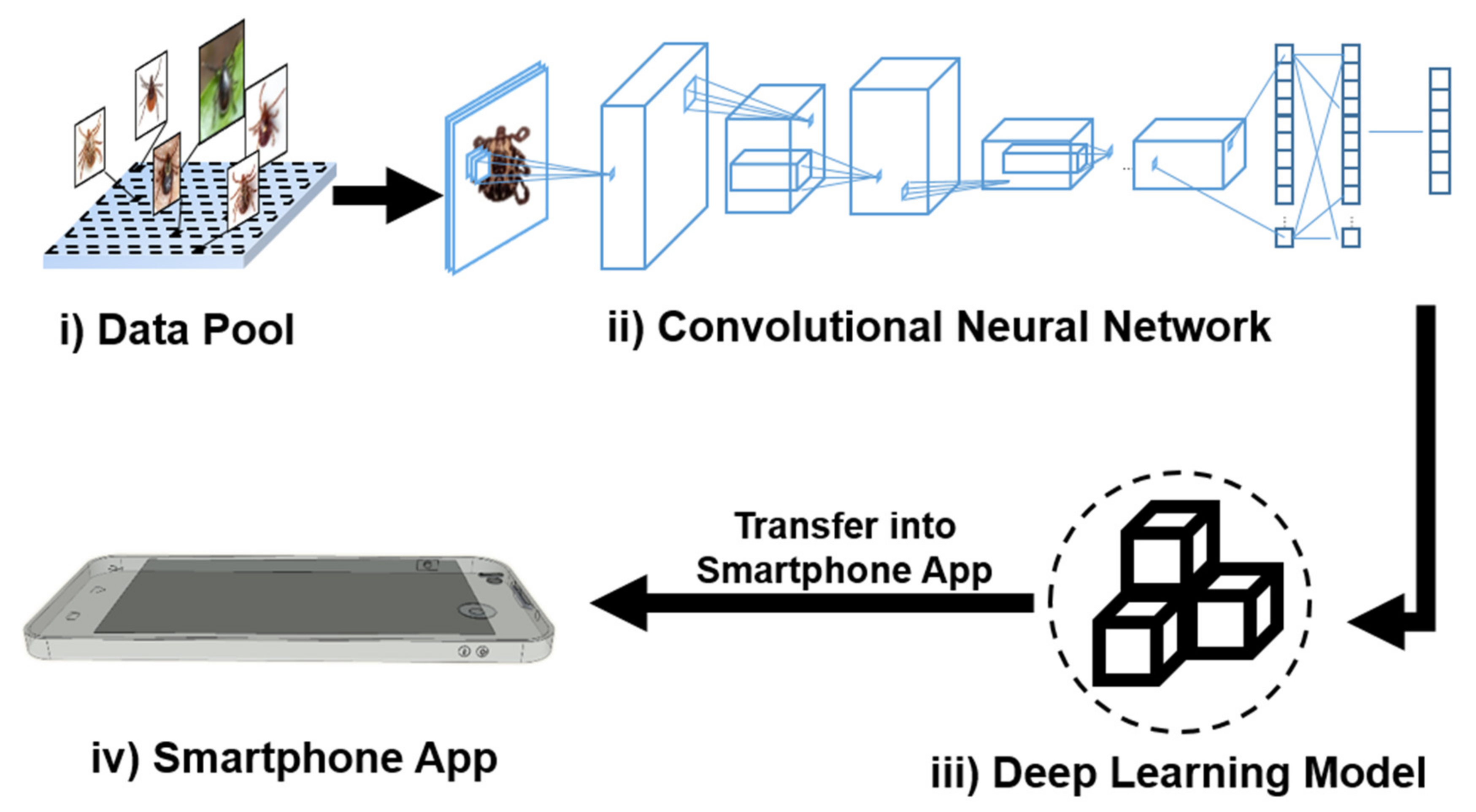 Applsci 11 07355 g001 550
