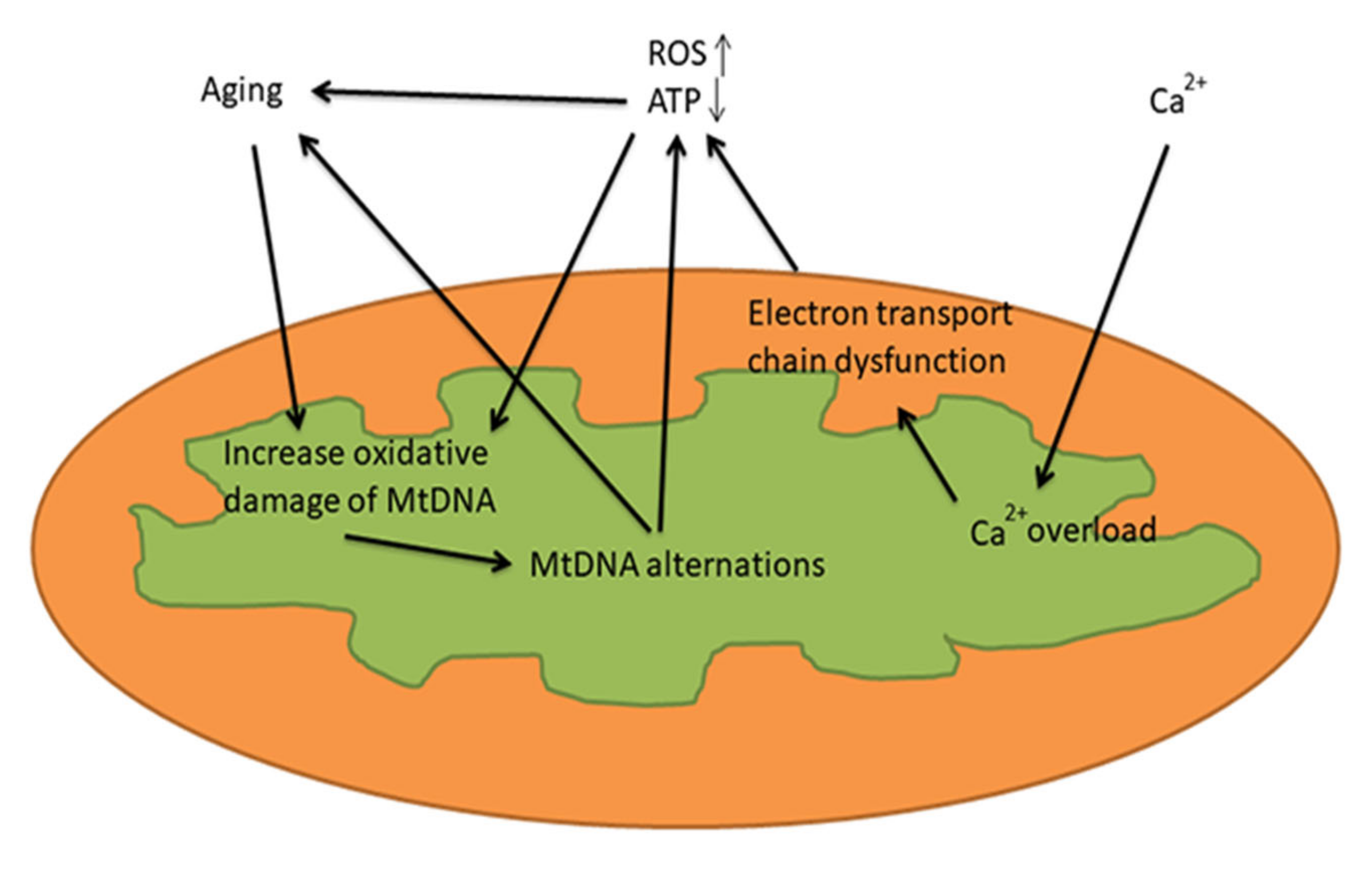 Applsci 11 07385 g001 Applsci 11 07385 g001