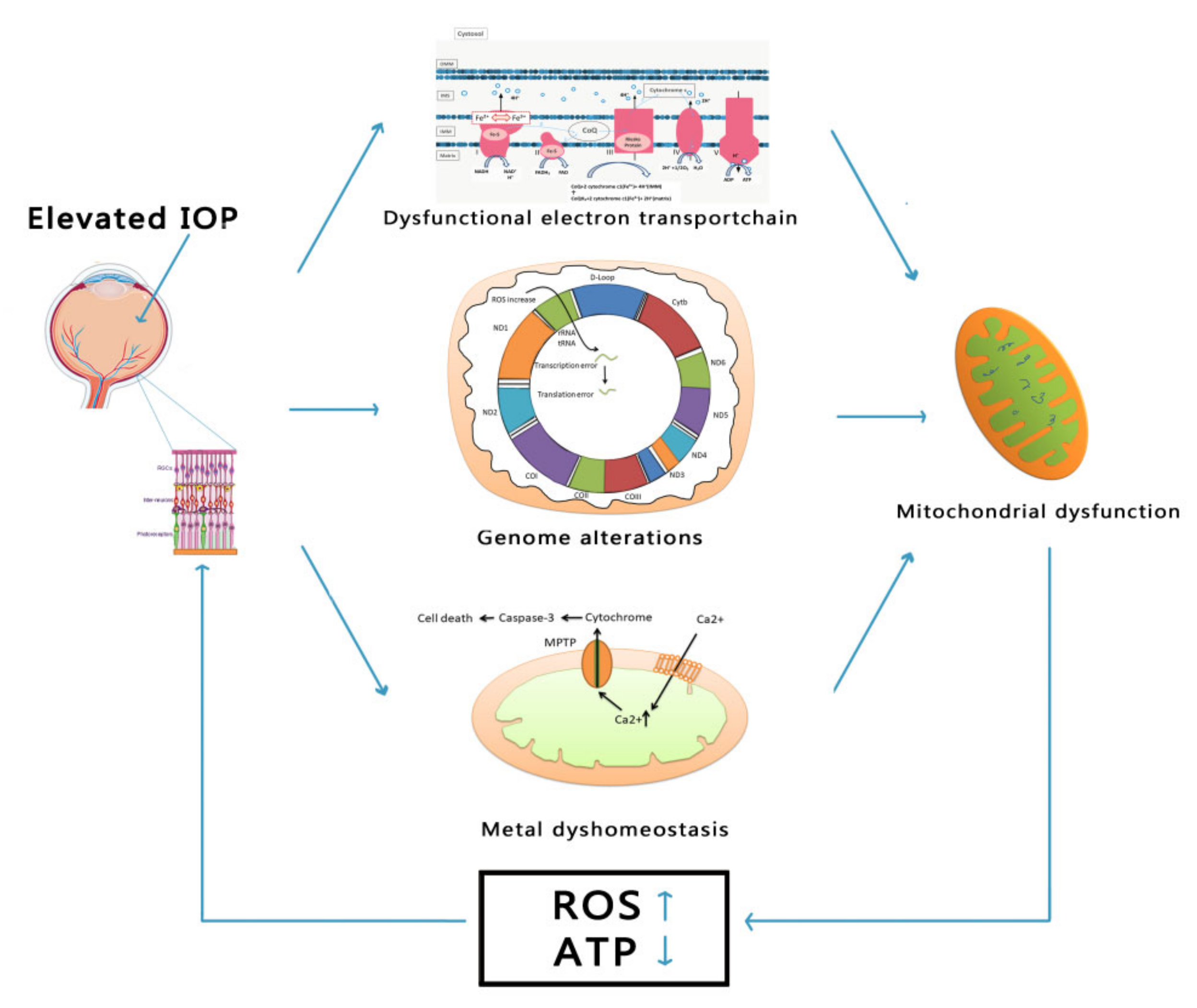 Applsci 11 07385 g002 Applsci 11 07385 g002