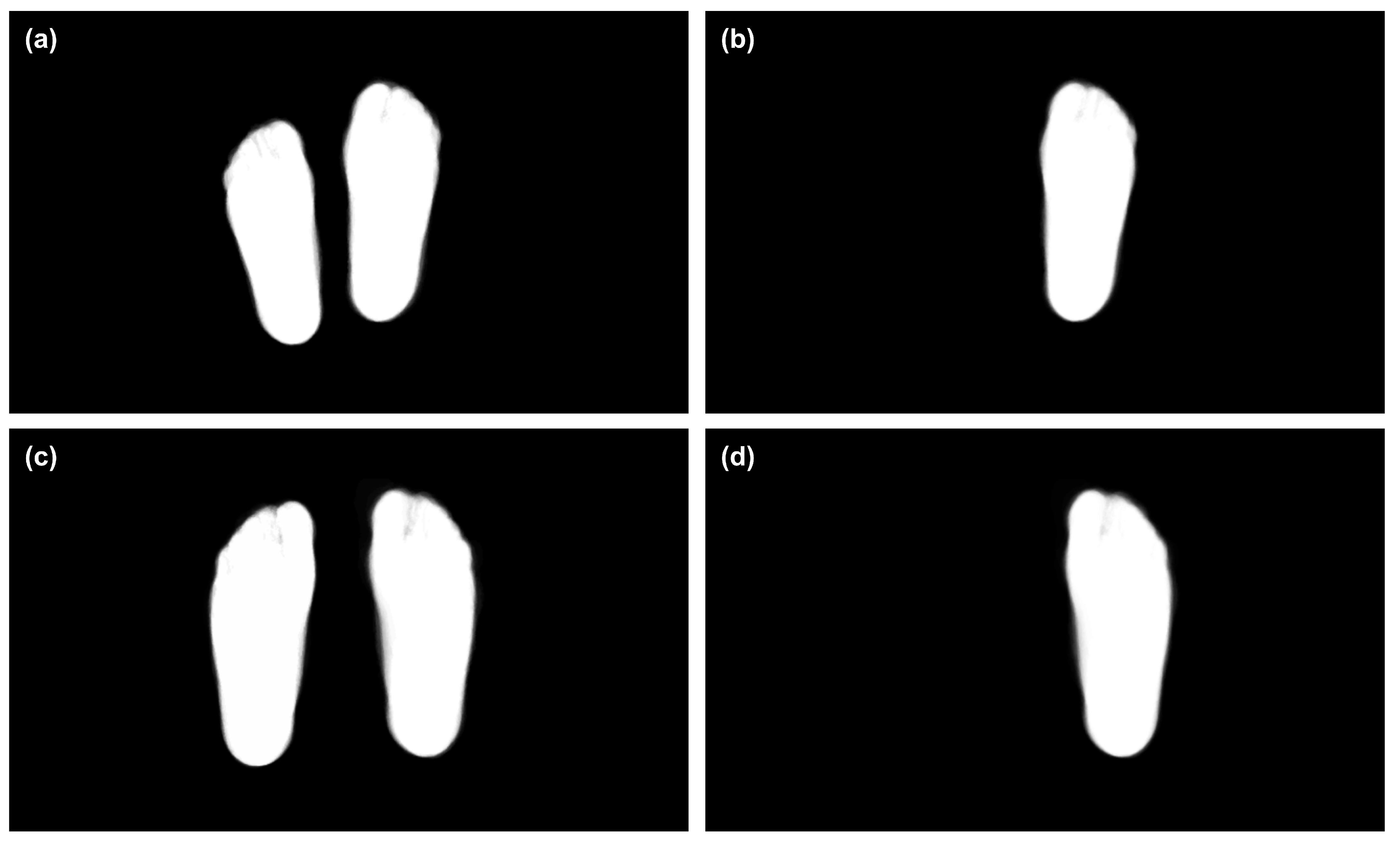 Applsci 11 07396 g006 550