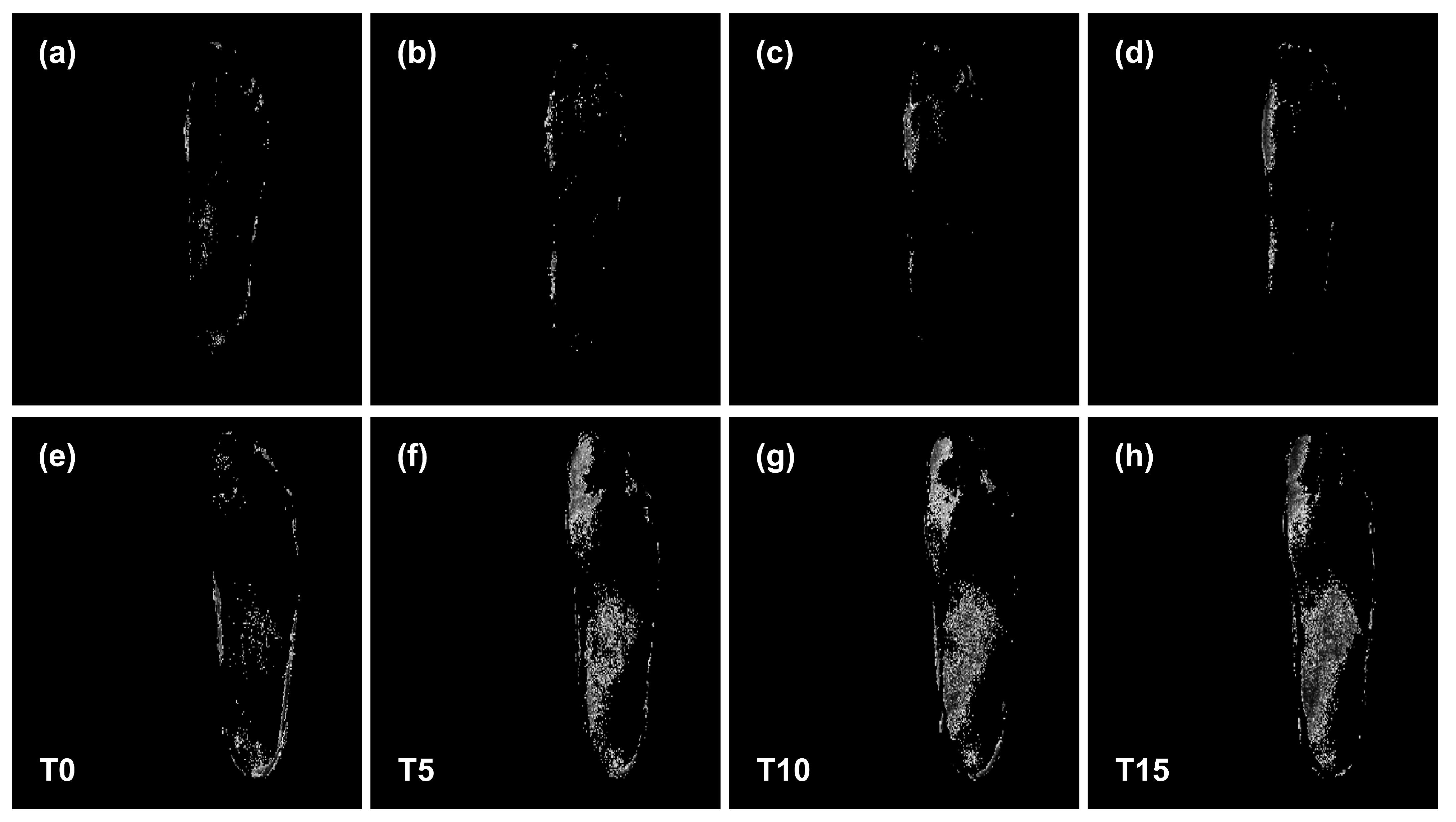 Applsci 11 07396 g007 550