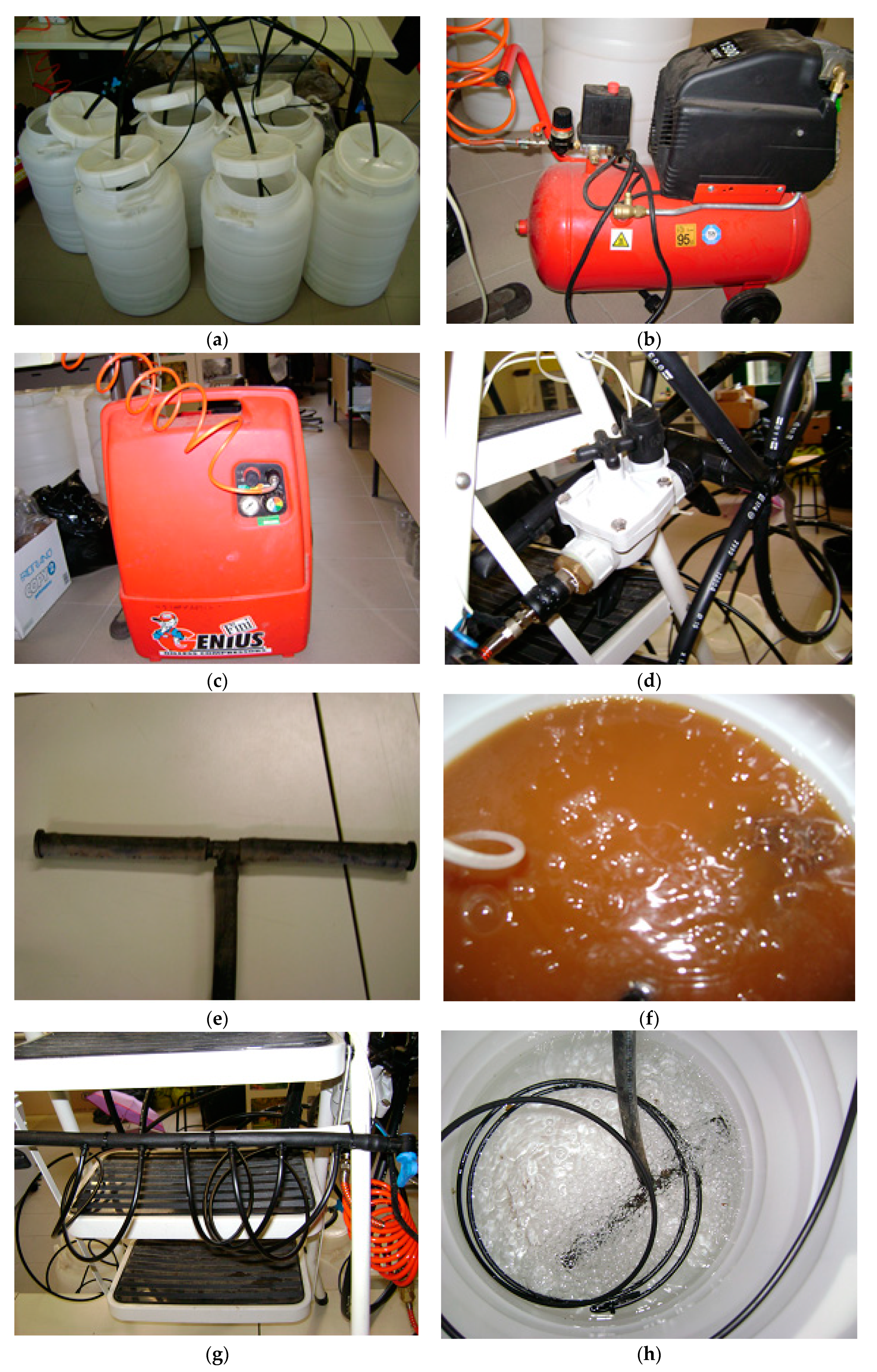 Applsci 11 07402 sch001 Applsci 11 07402 sch001