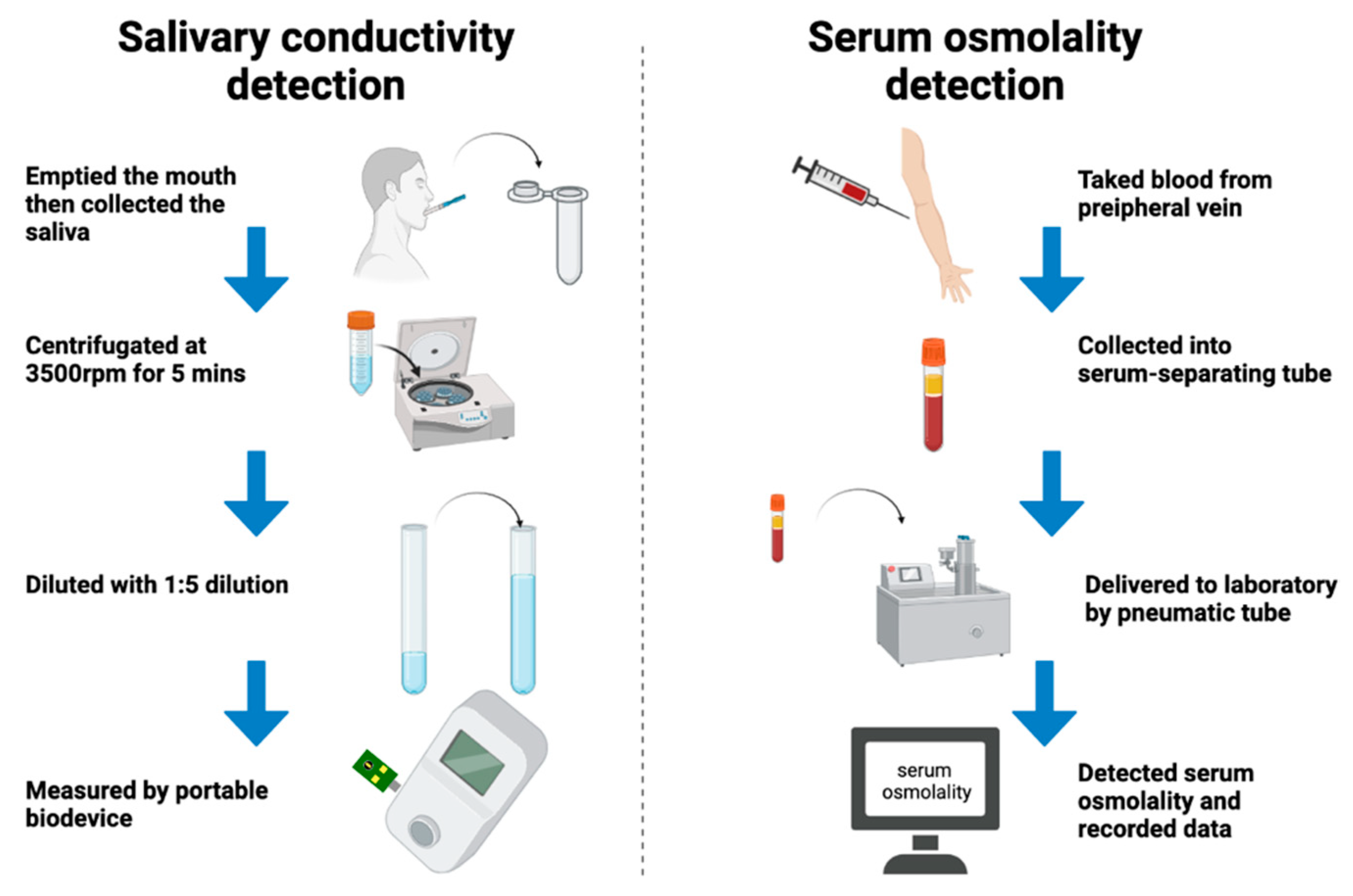 Applsci 11 07405 g002
