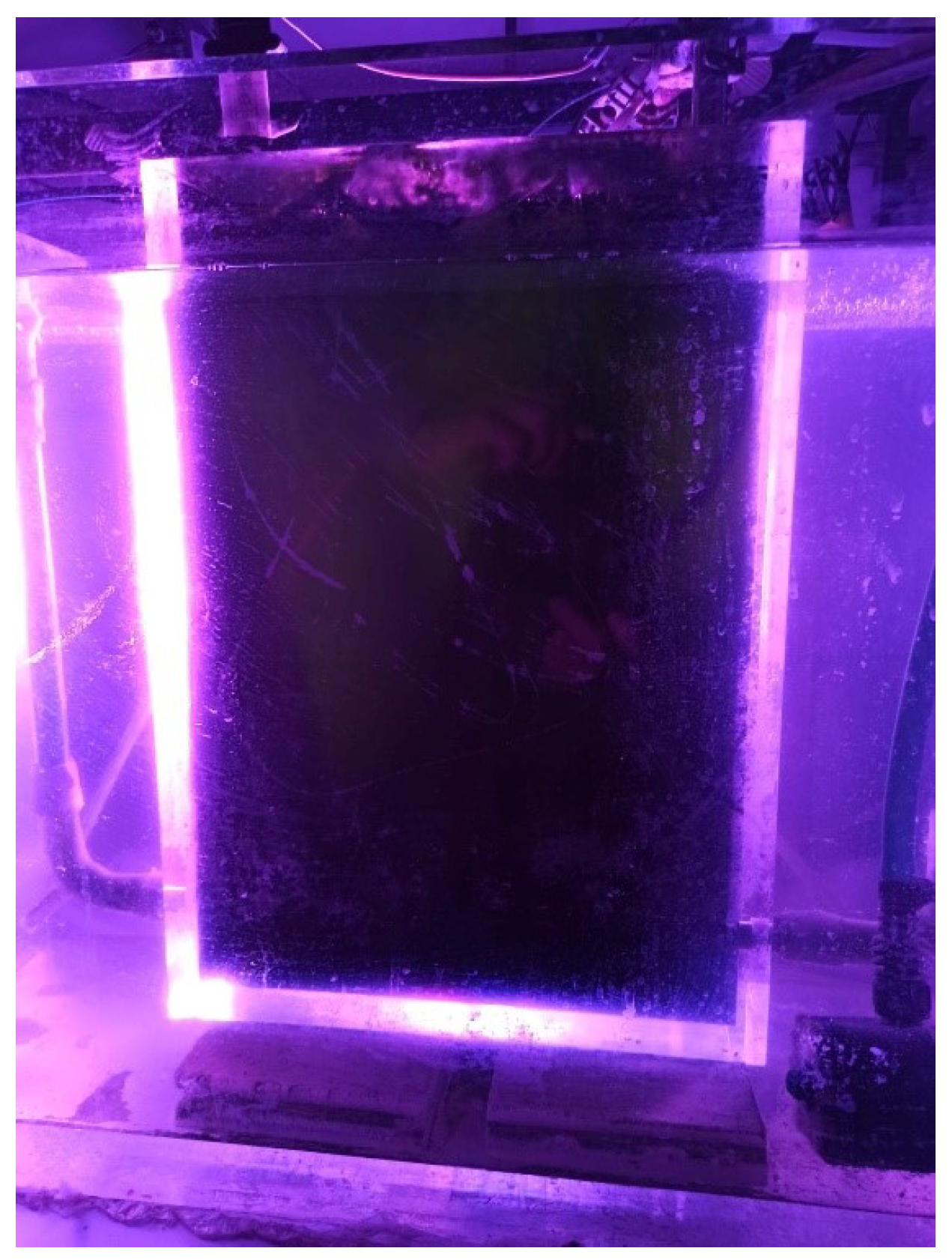 Applsci 11 07451 g008 550