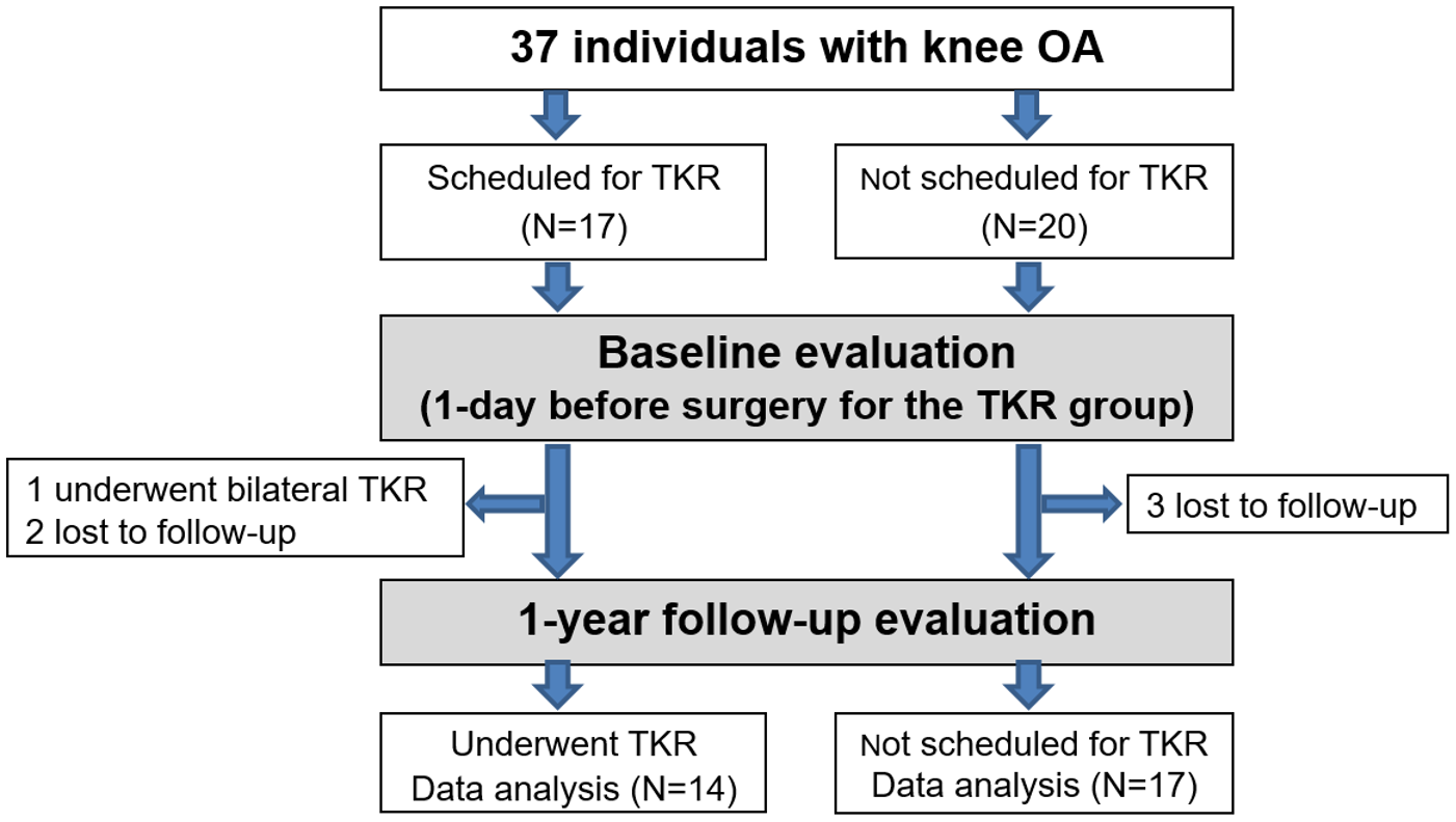 Applsci 11 07453 g001 Applsci 11 07453 g001