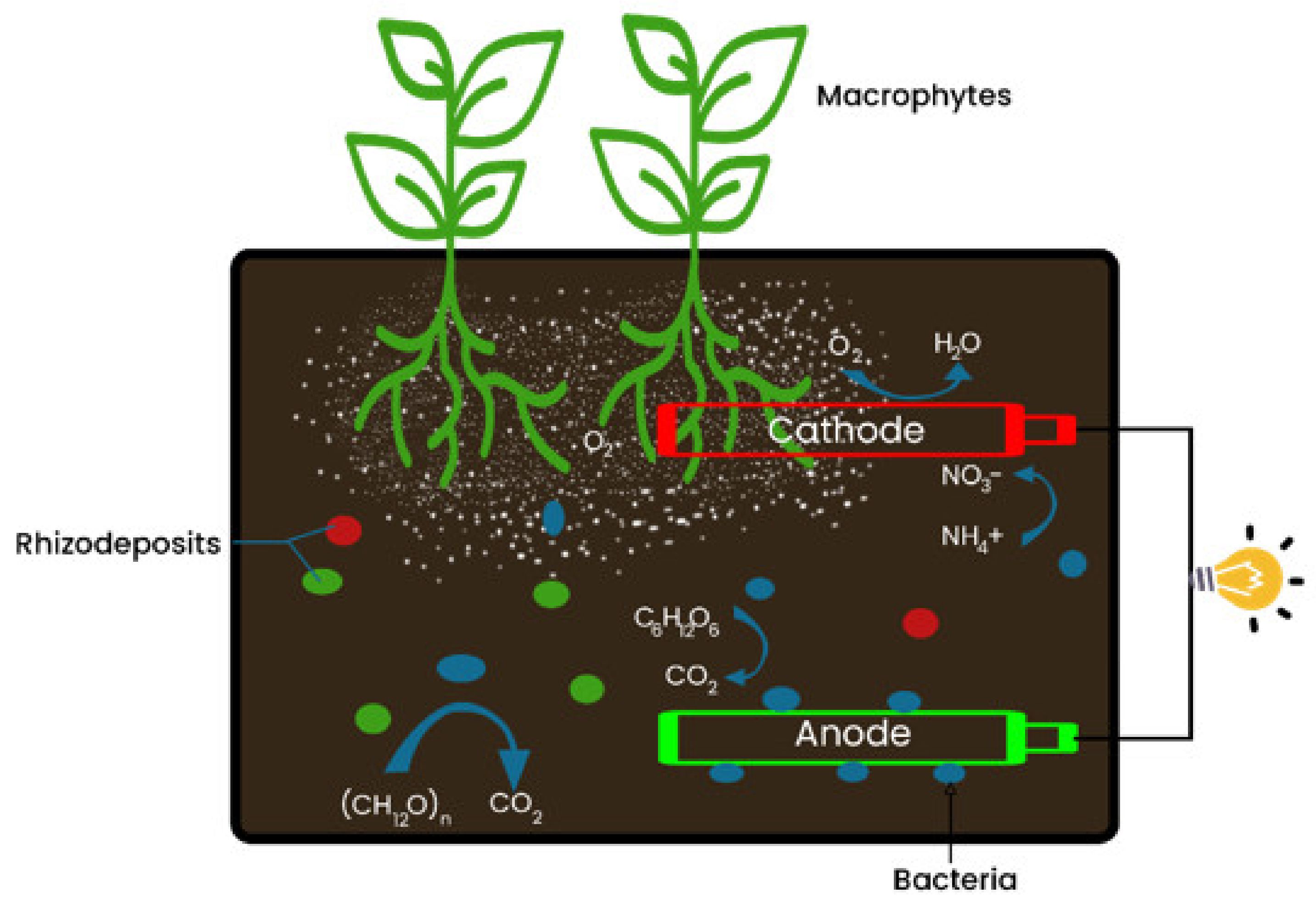 Applsci 11 07454 g004
