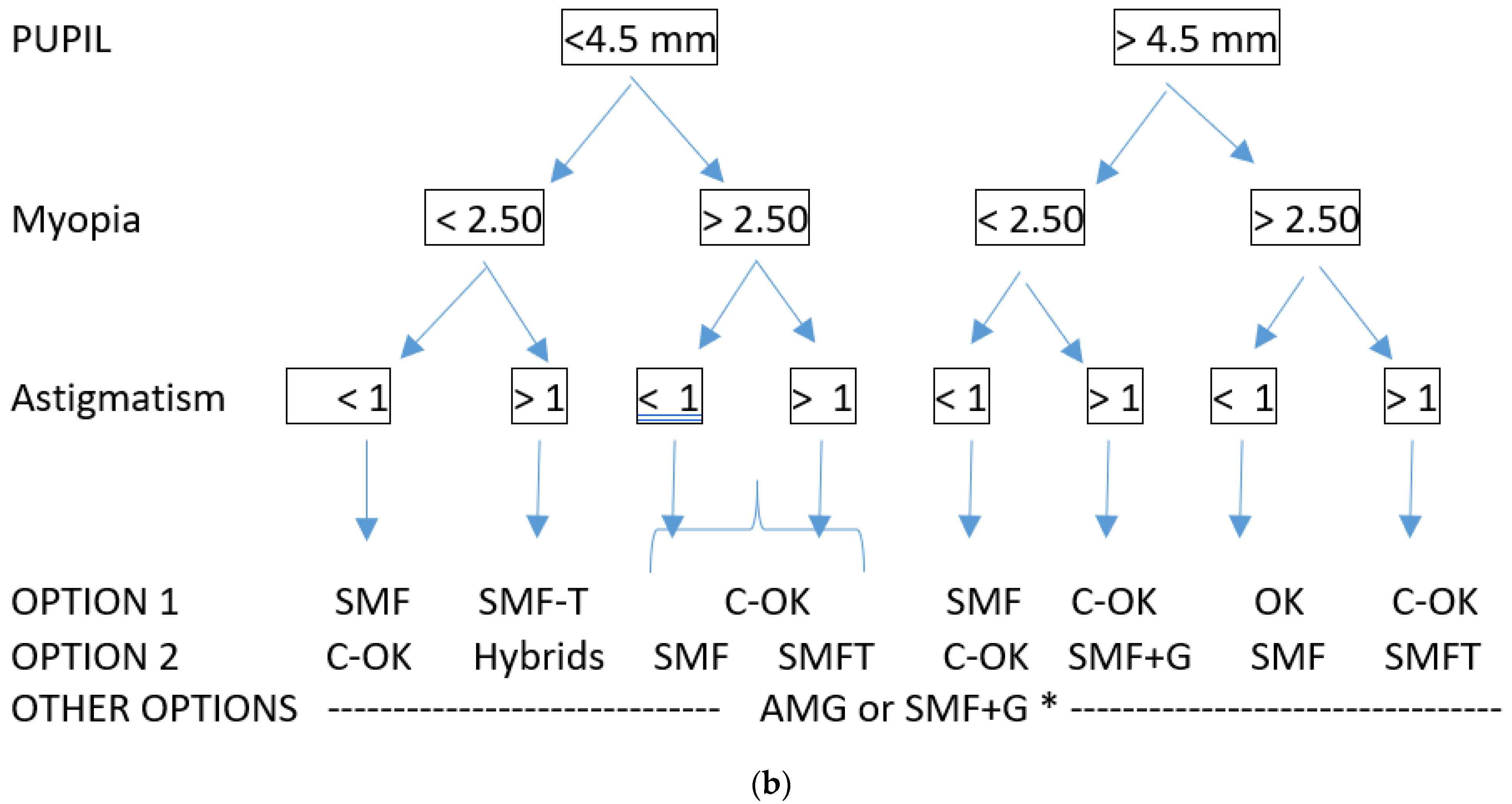 Applsci 11 07455 g001b 550