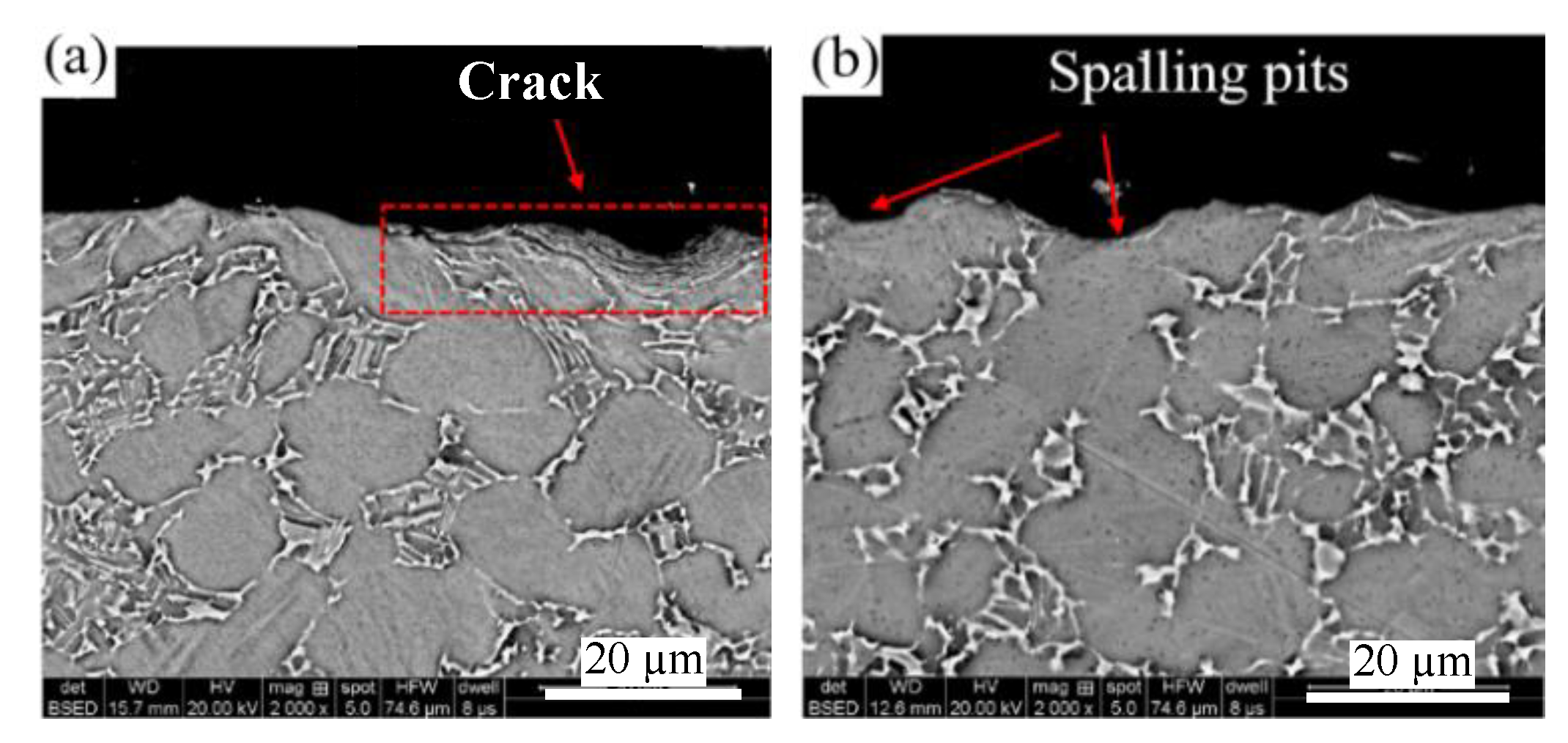 Applsci 11 07471 g013 550