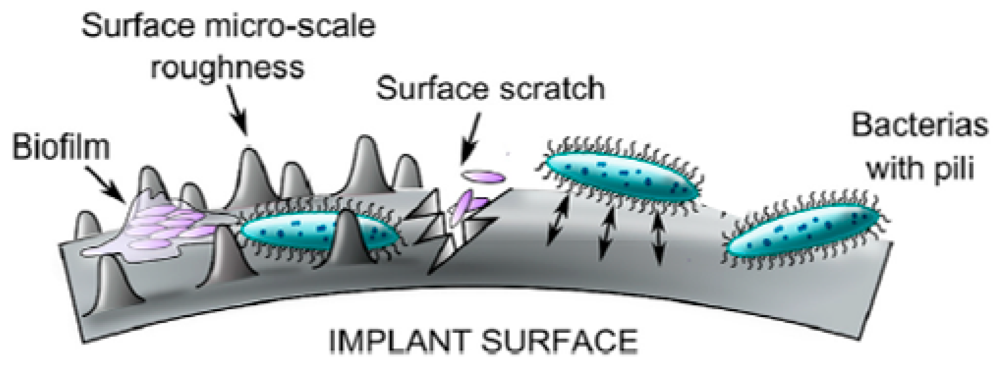 Applsci 11 07493 g002 550