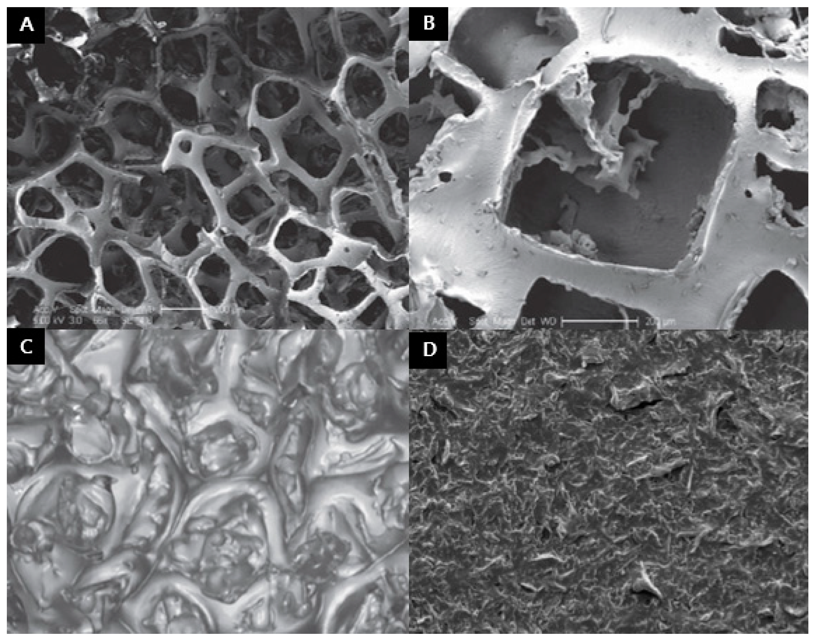 Applsci 11 07493 g003 550