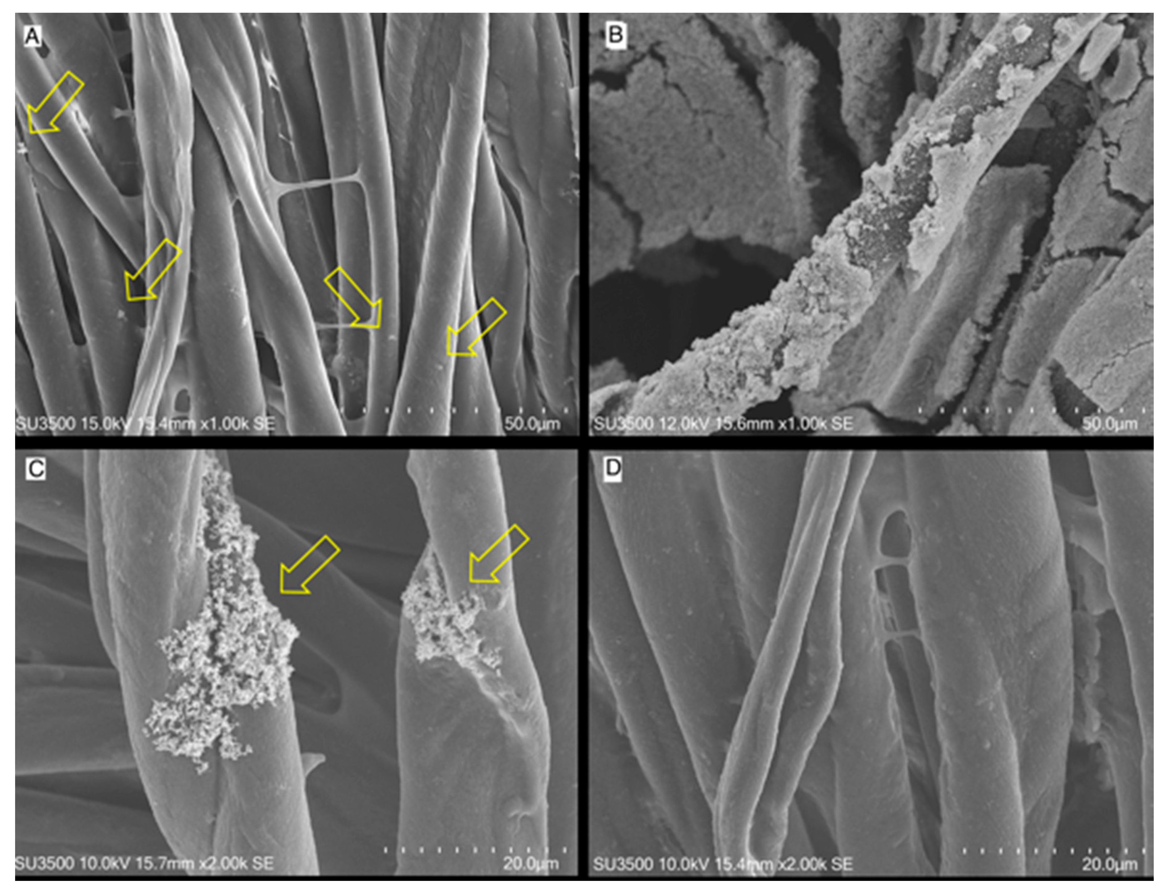 Applsci 11 07501 g005