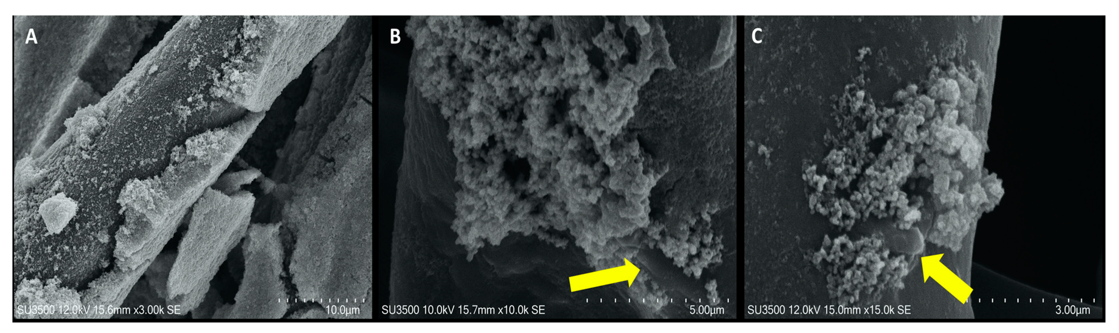 Applsci 11 07501 g007