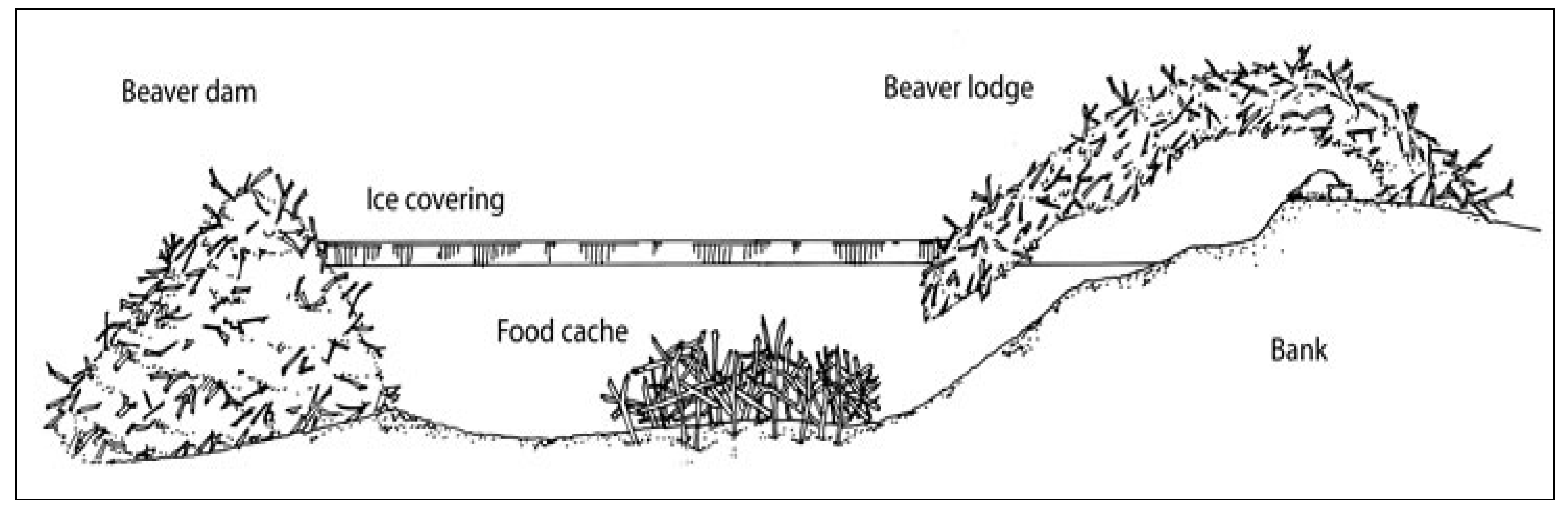 Applsci 11 07514 g006 550