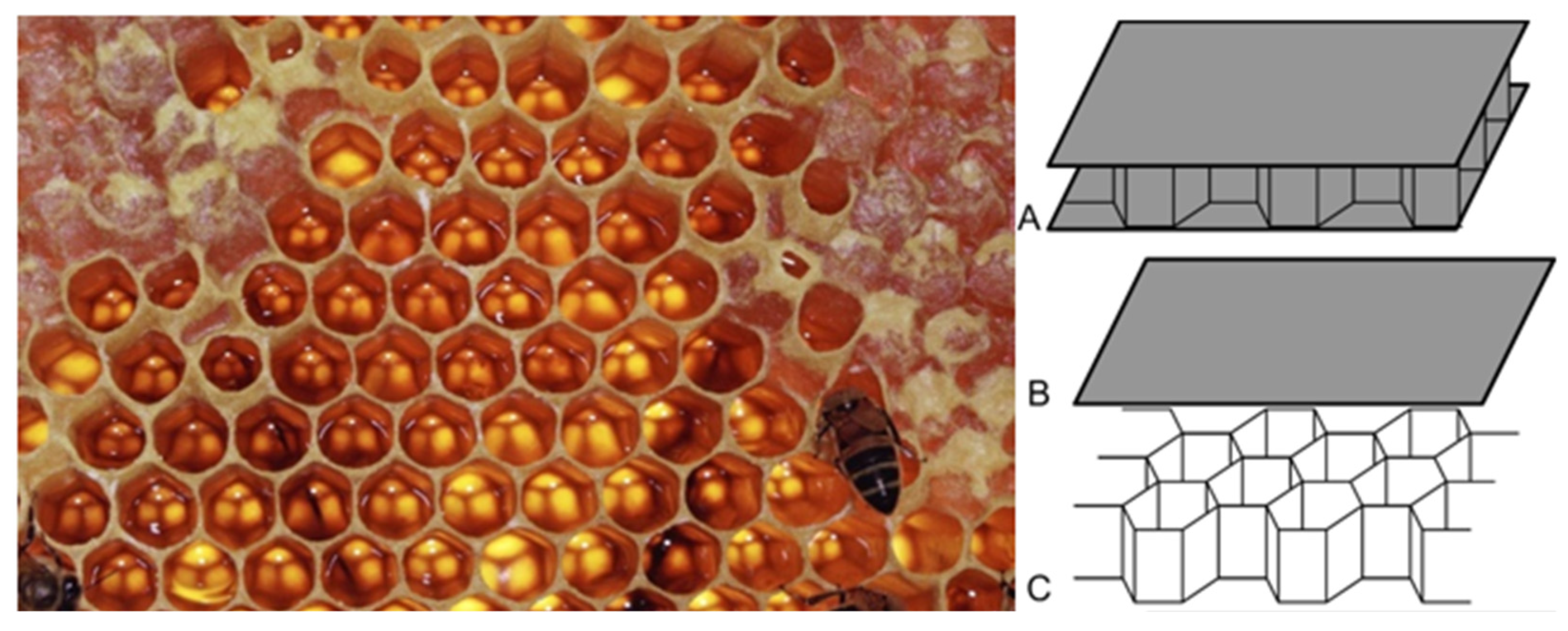 Applsci 11 07514 g008 550