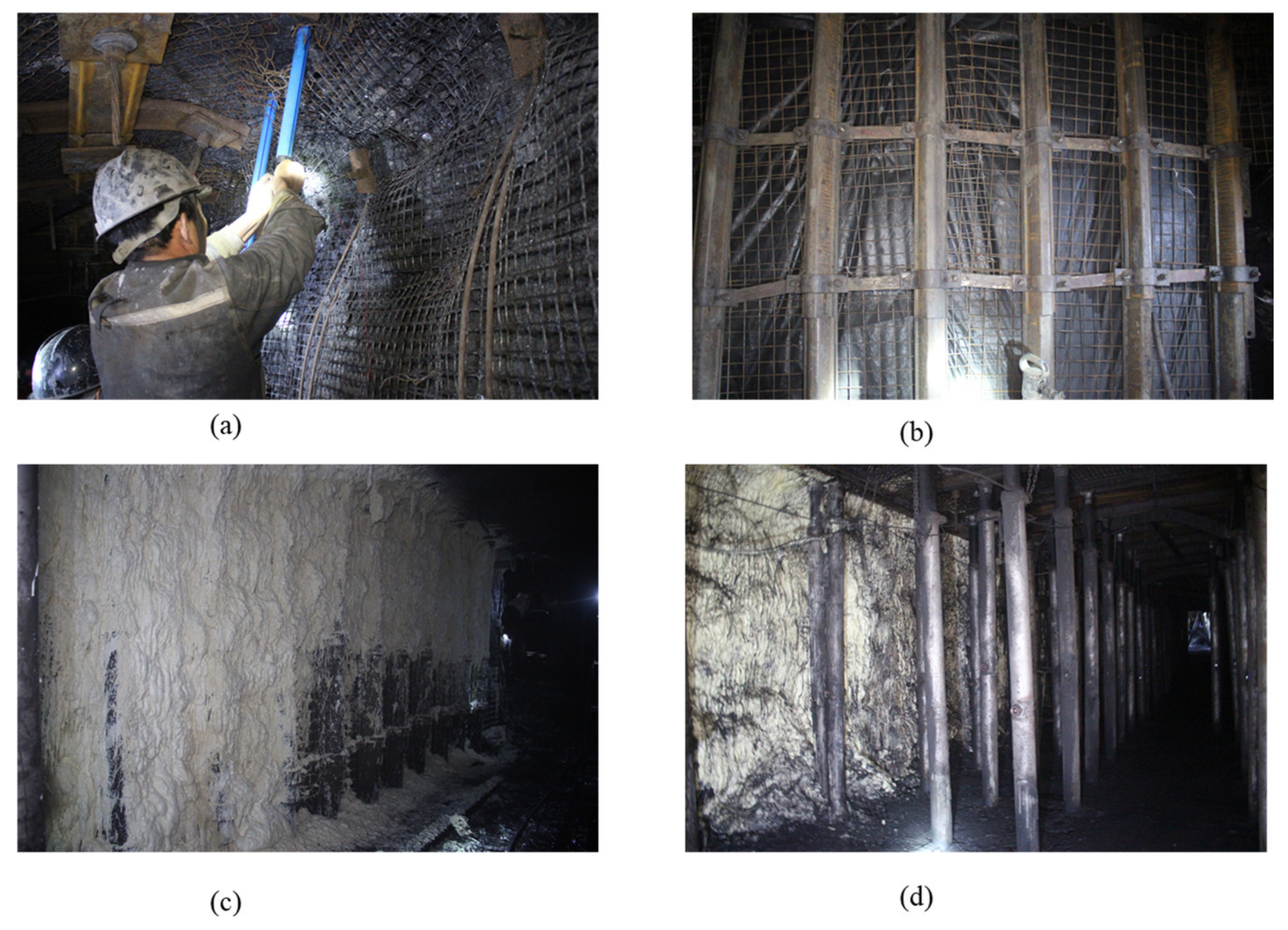 Applsci 11 07524 g020