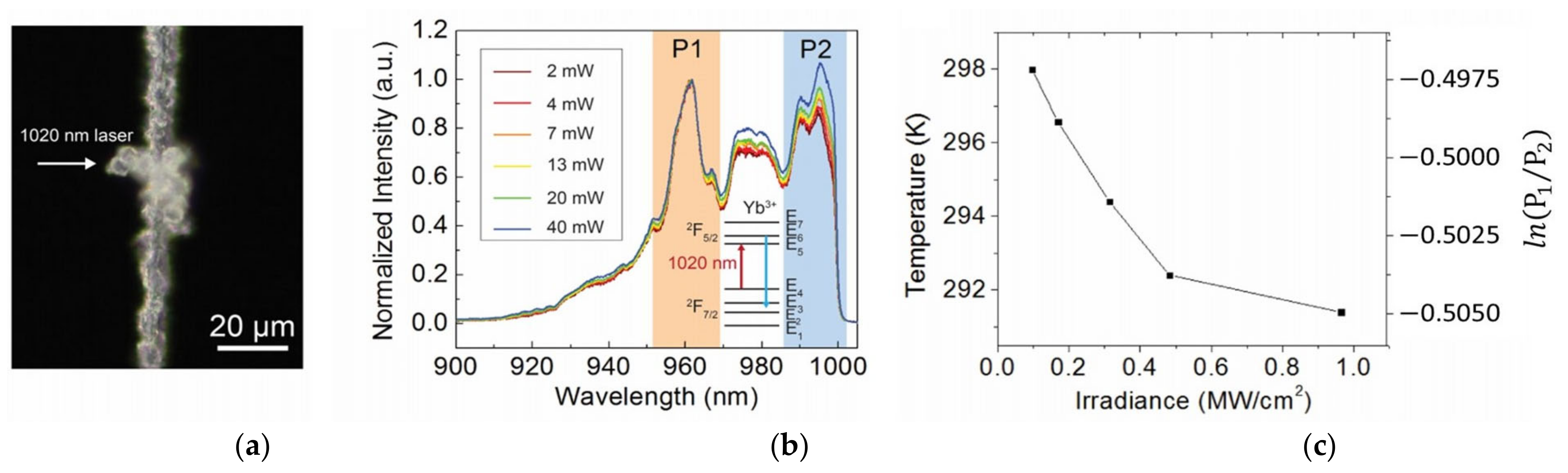 Applsci 11 07539 g018