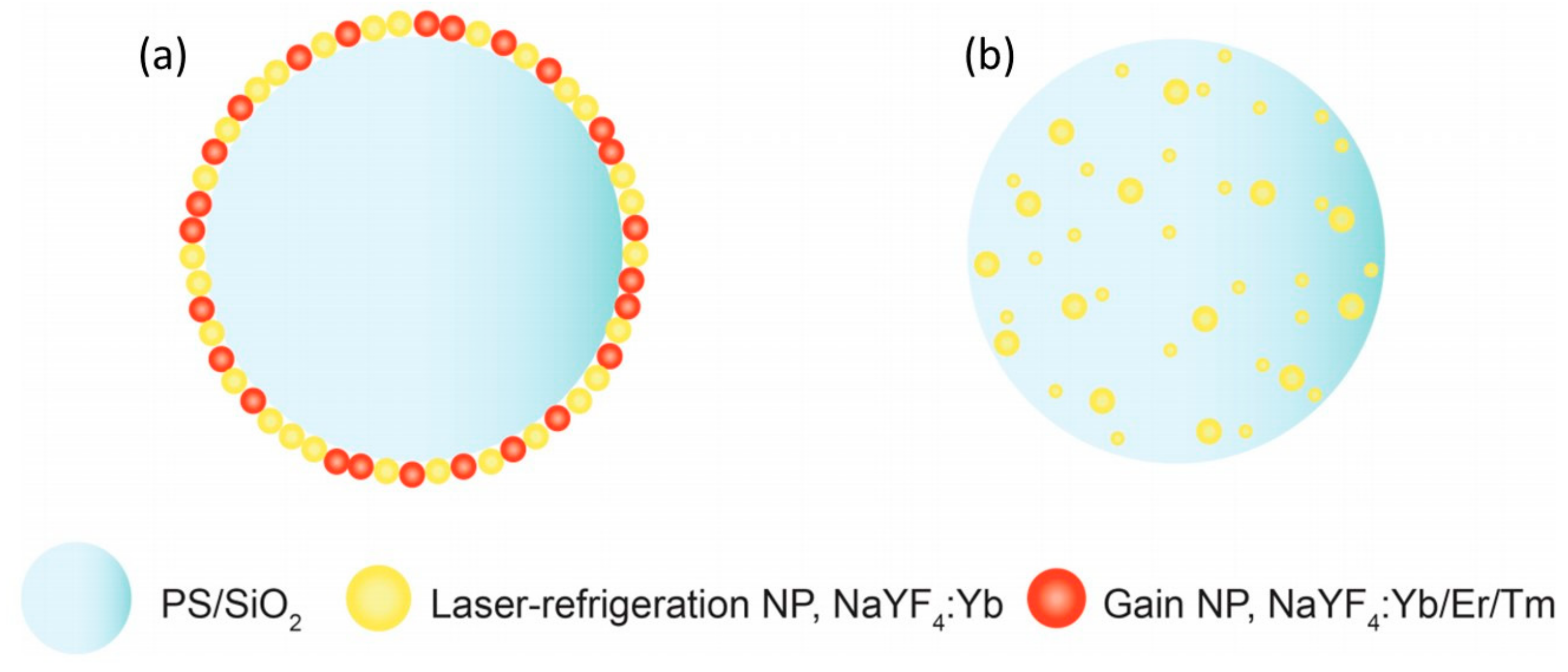 Applsci 11 07539 g020