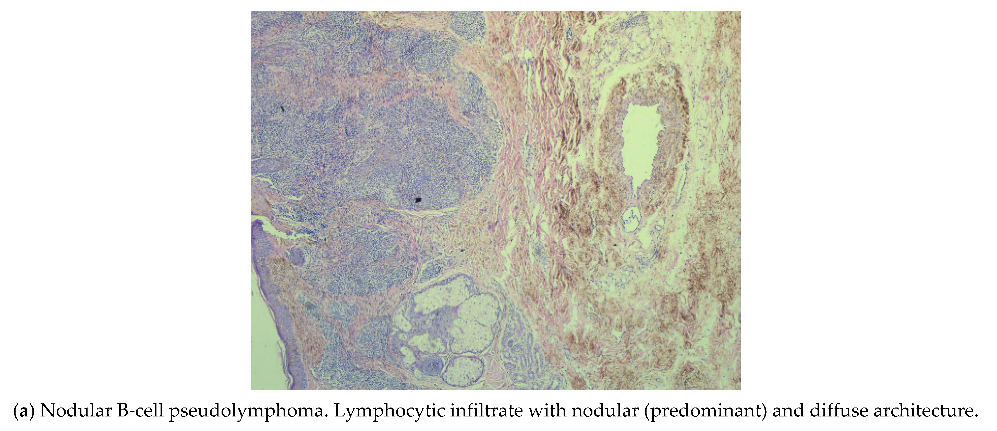 Applsci 11 07543 g001a