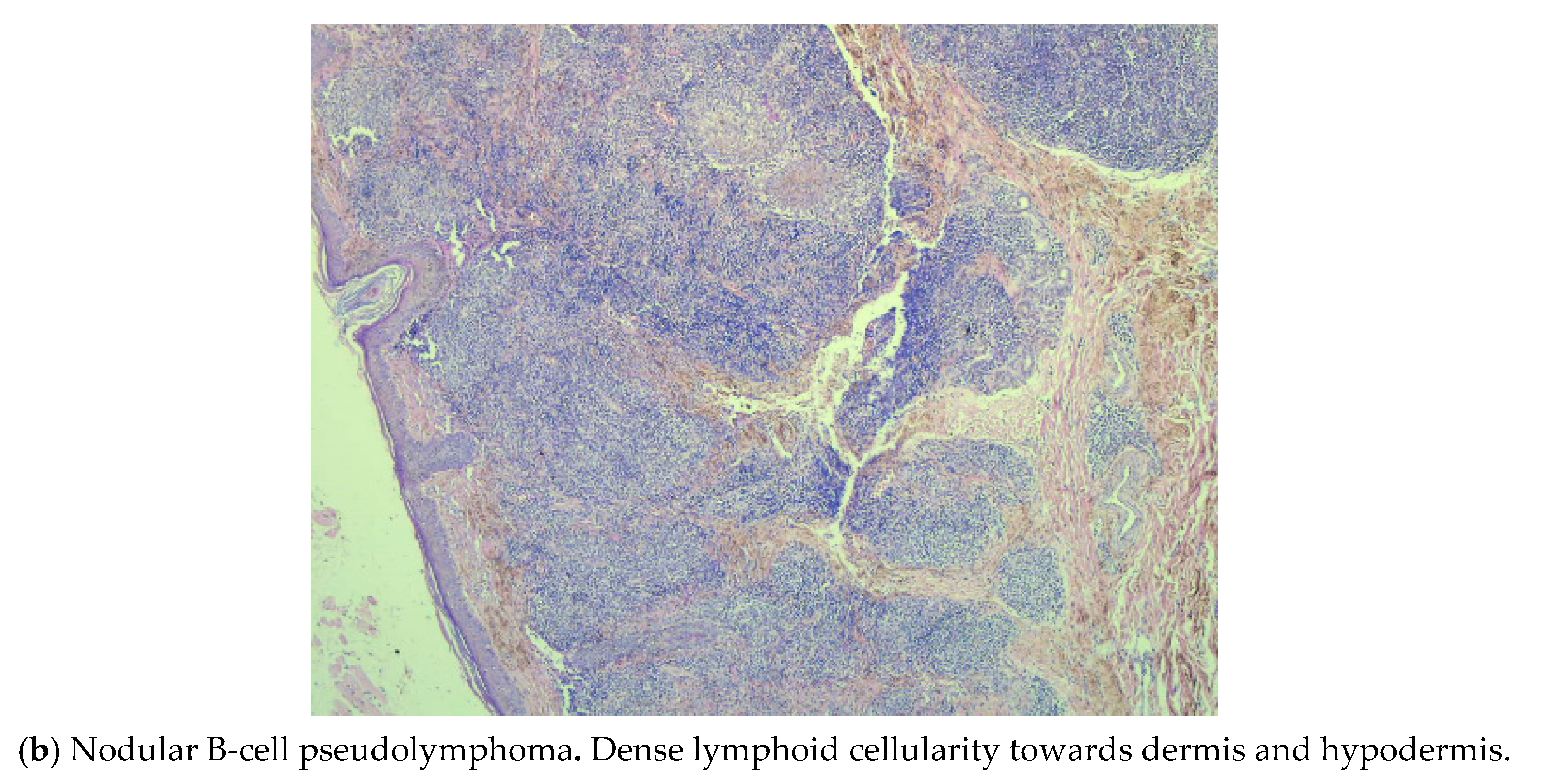 Applsci 11 07543 g001b