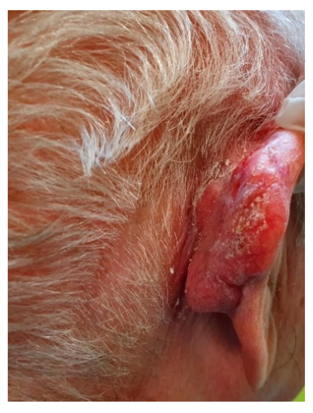 Applsci 11 07543 g002