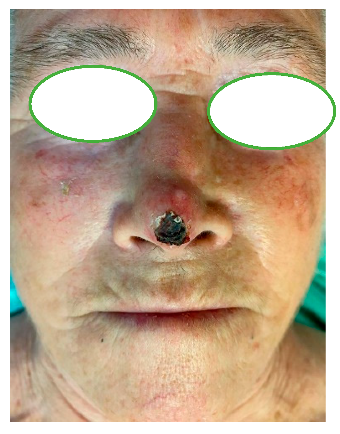 Applsci 11 07543 g003