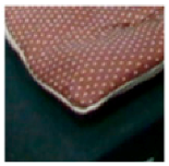 Applsci 11 07546 i007