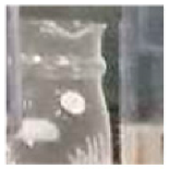 Applsci 11 07546 i008